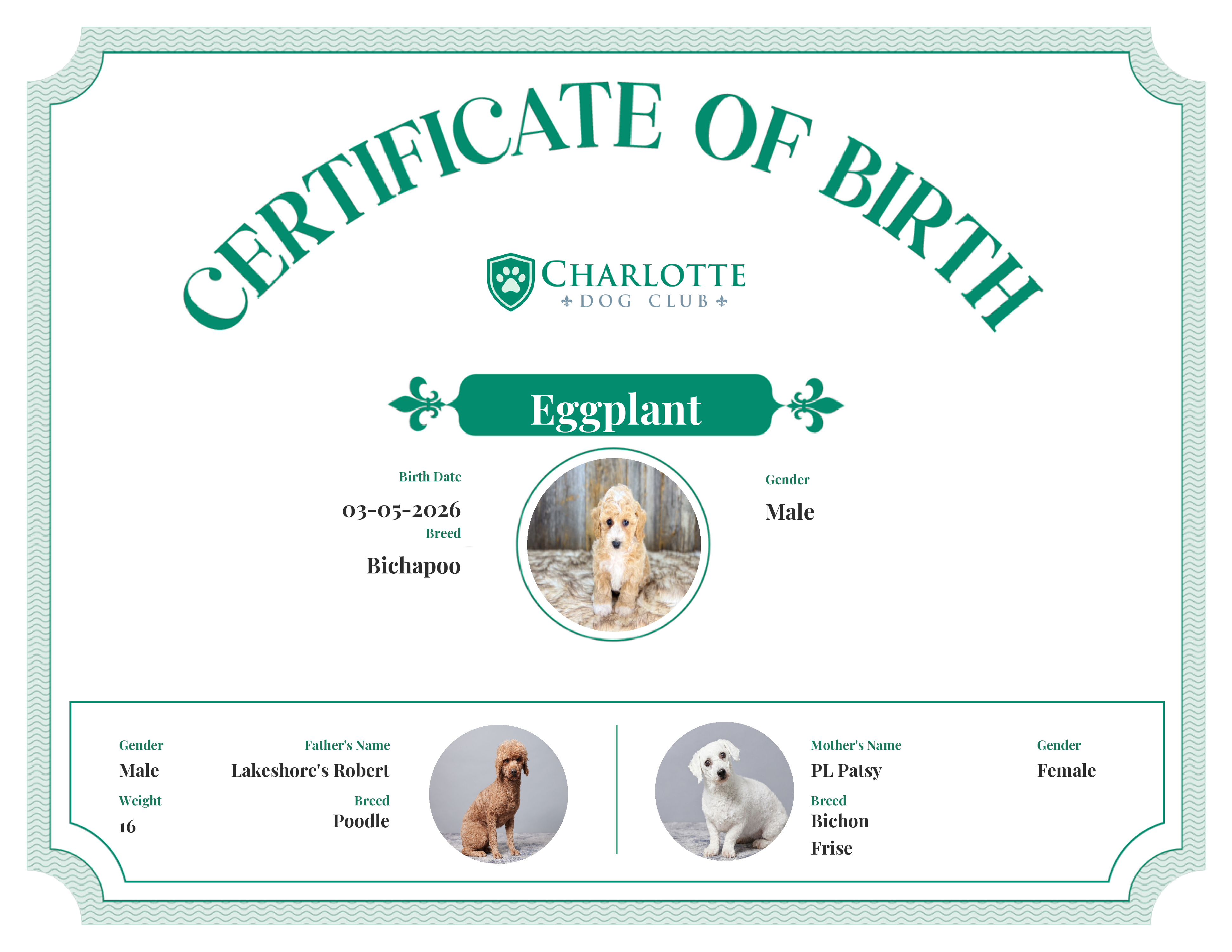 Eggplant's Birth Certificate