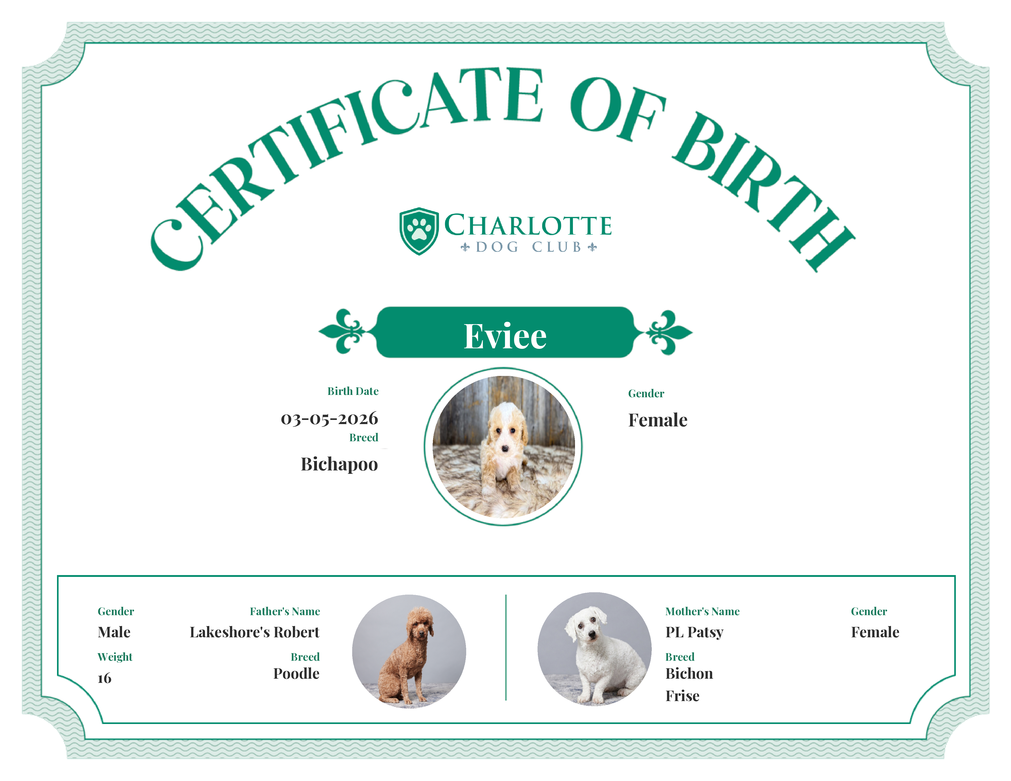 Eviee's Birth Certificate