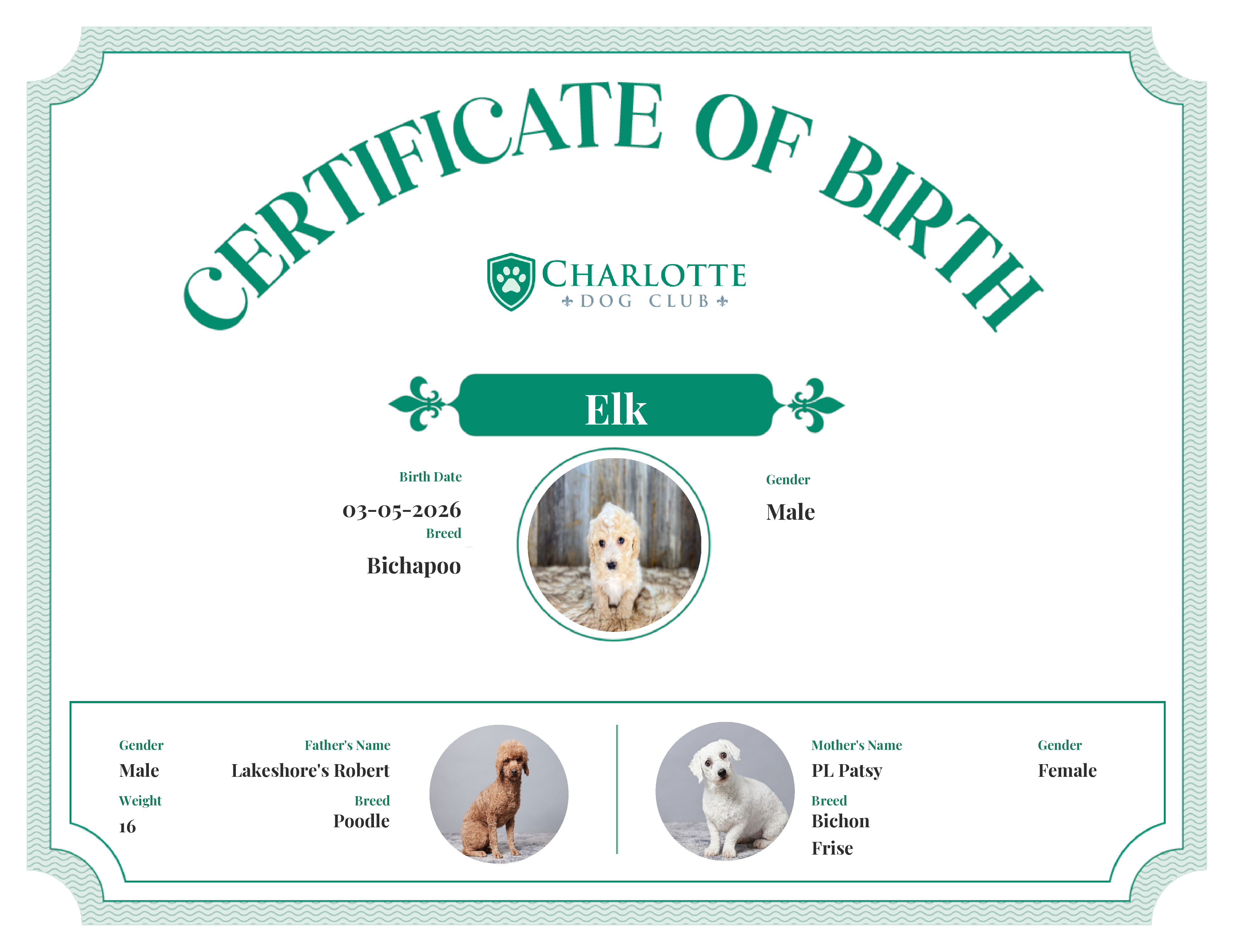 Elk's Birth Certificate