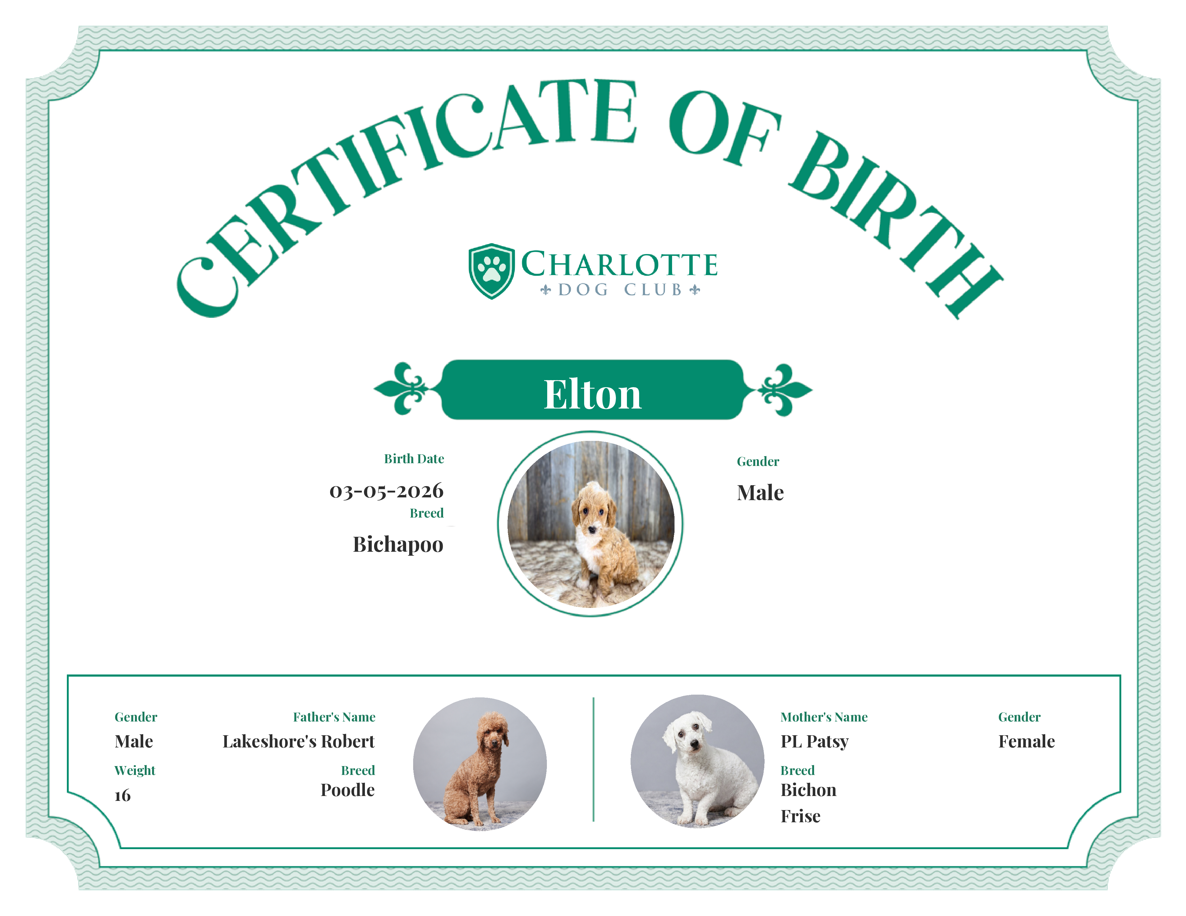 Elton's Birth Certificate