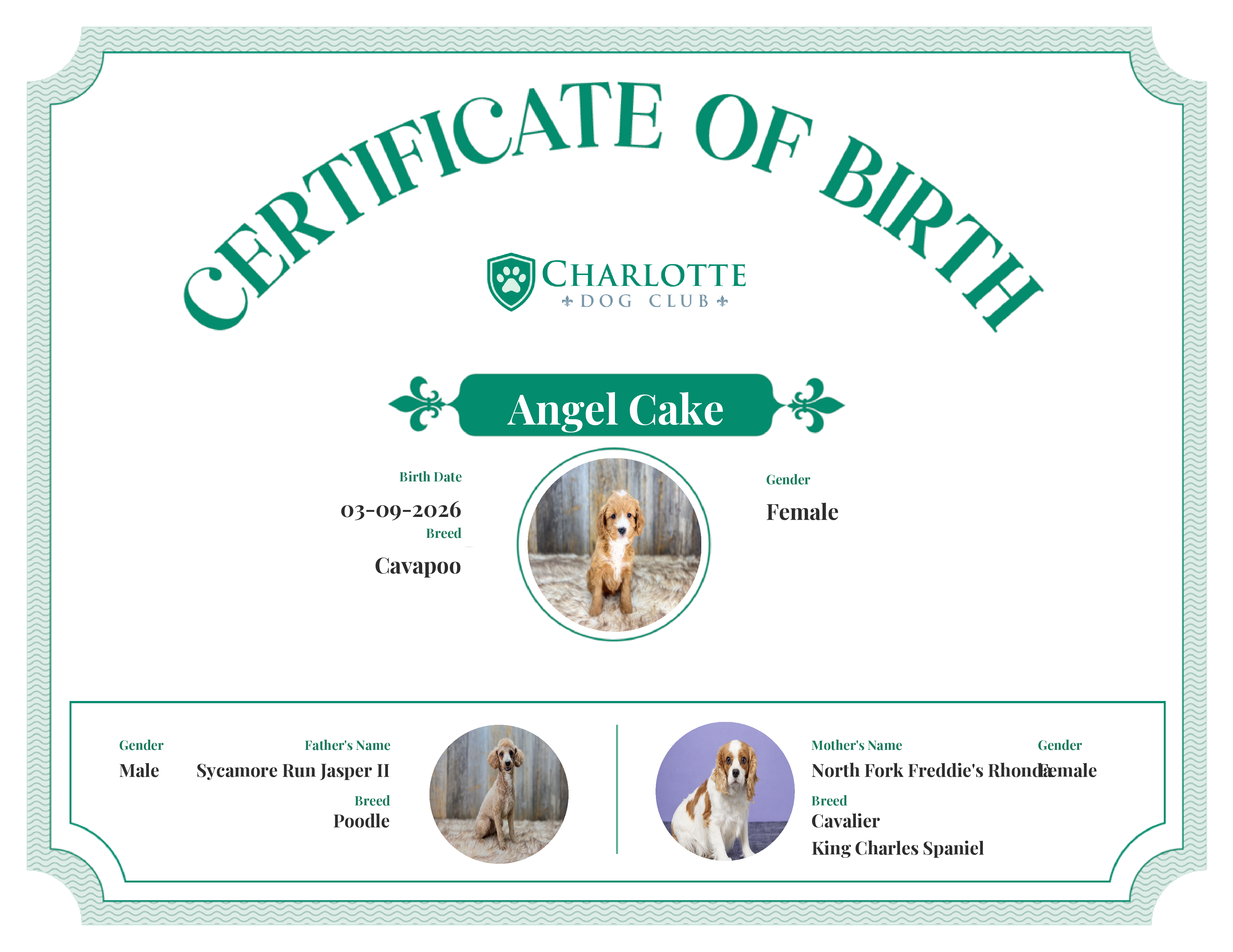 Angel Cake's Birth Certificate