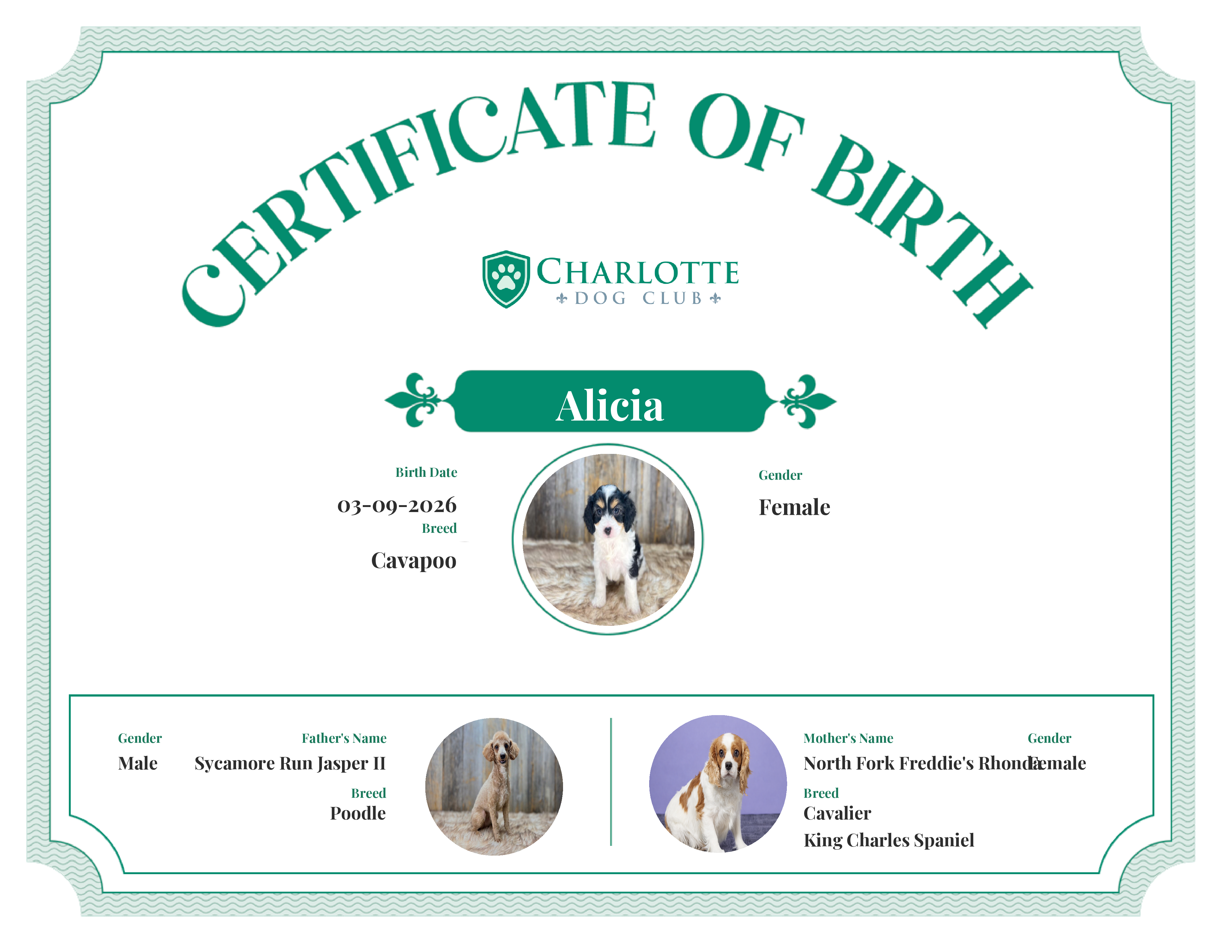 Alicia's Birth Certificate