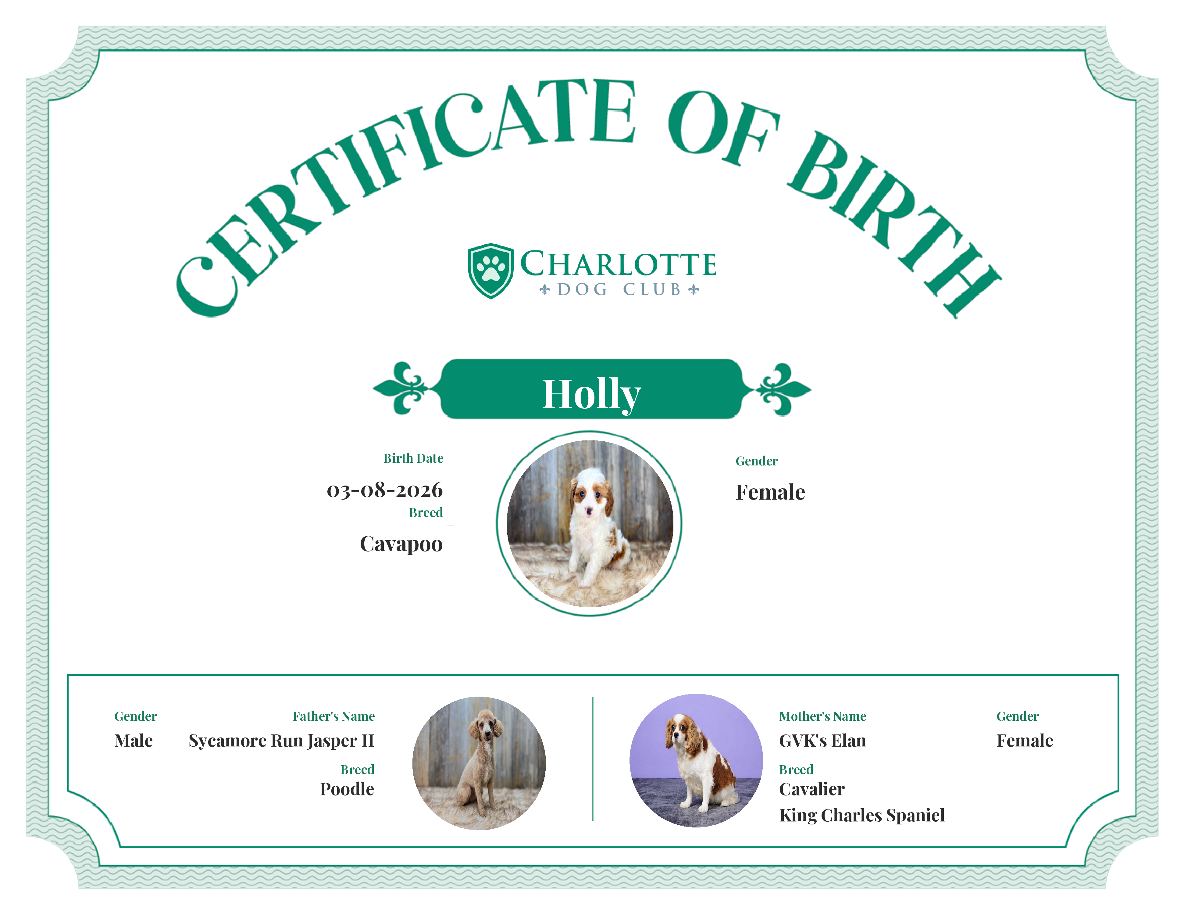 Holly's Birth Certificate
