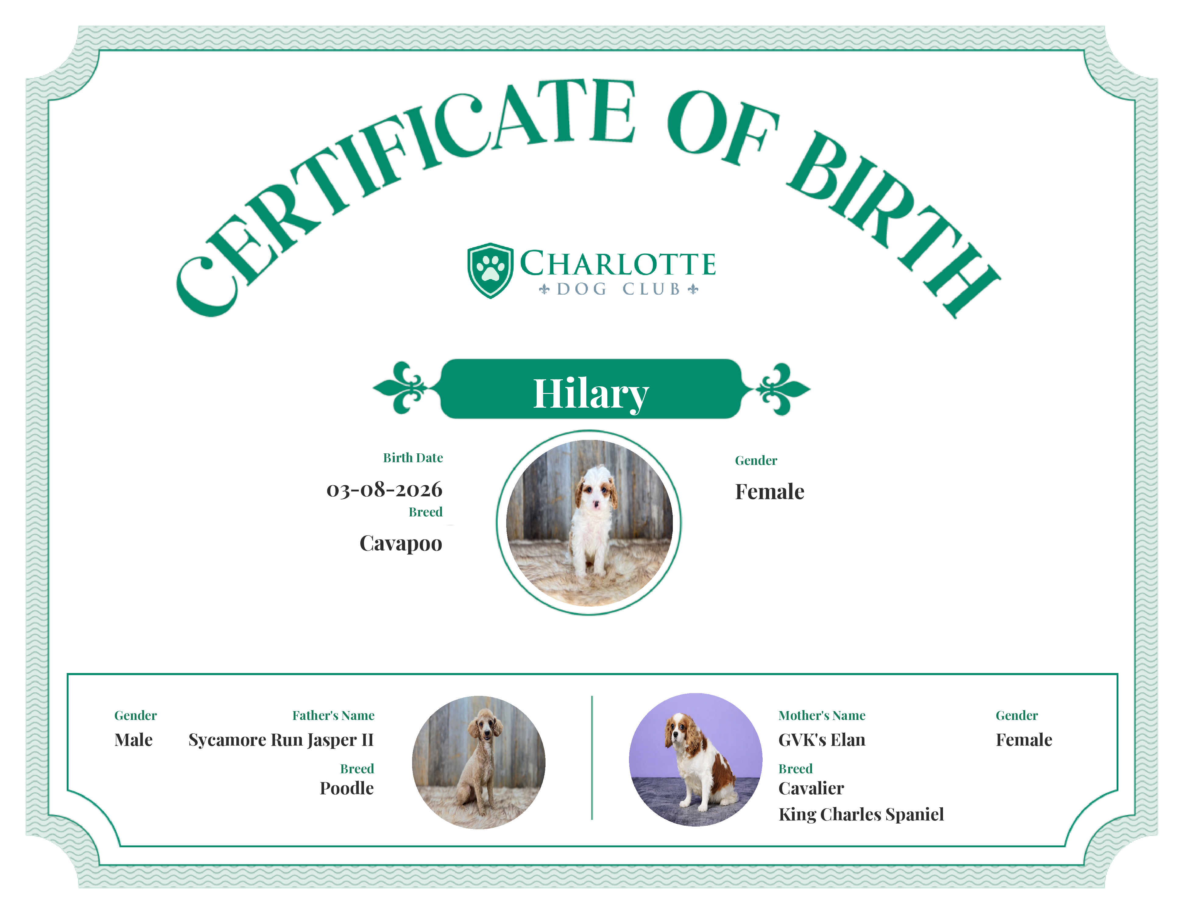 Hilary's Birth Certificate