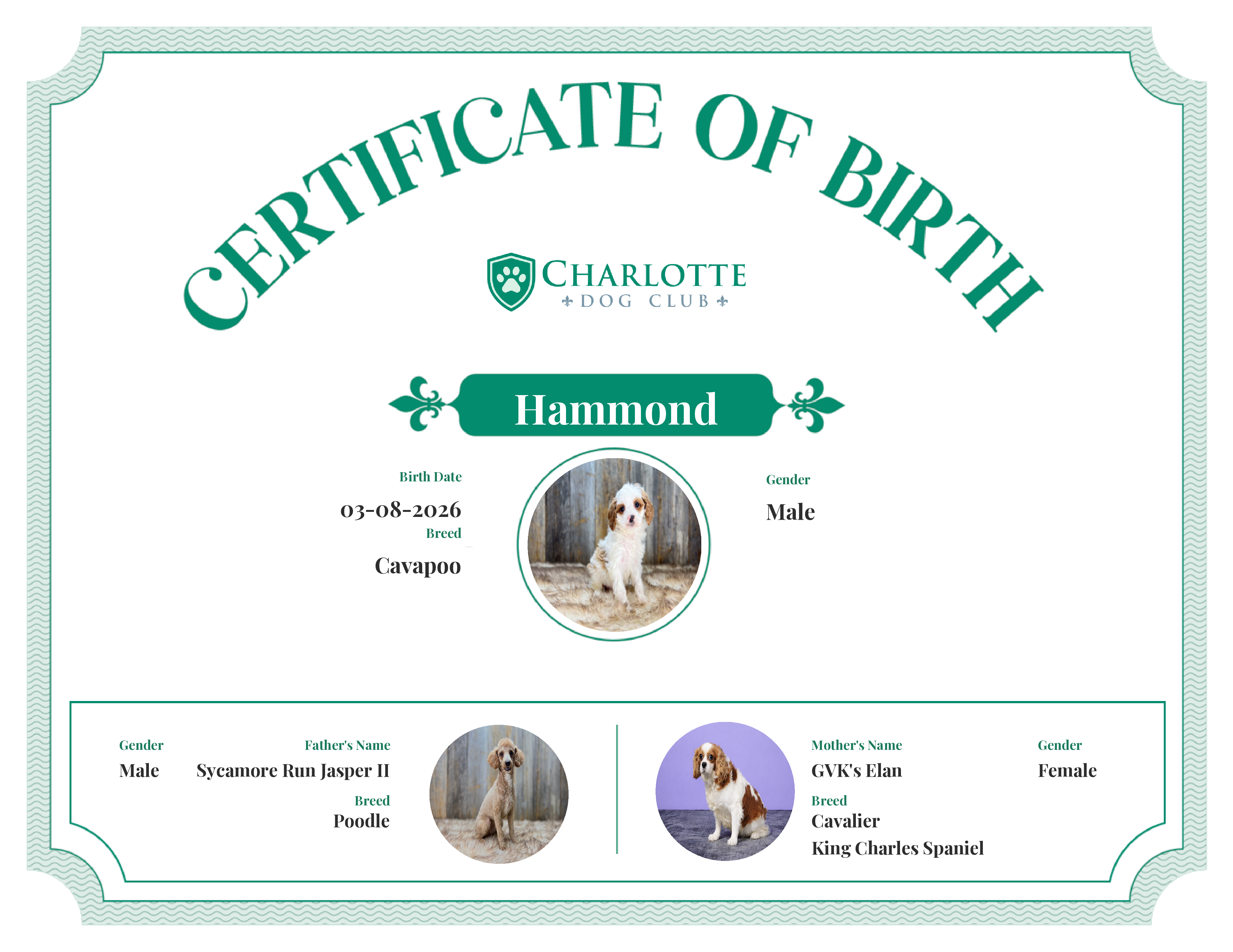 Hammond's Birth Certificate