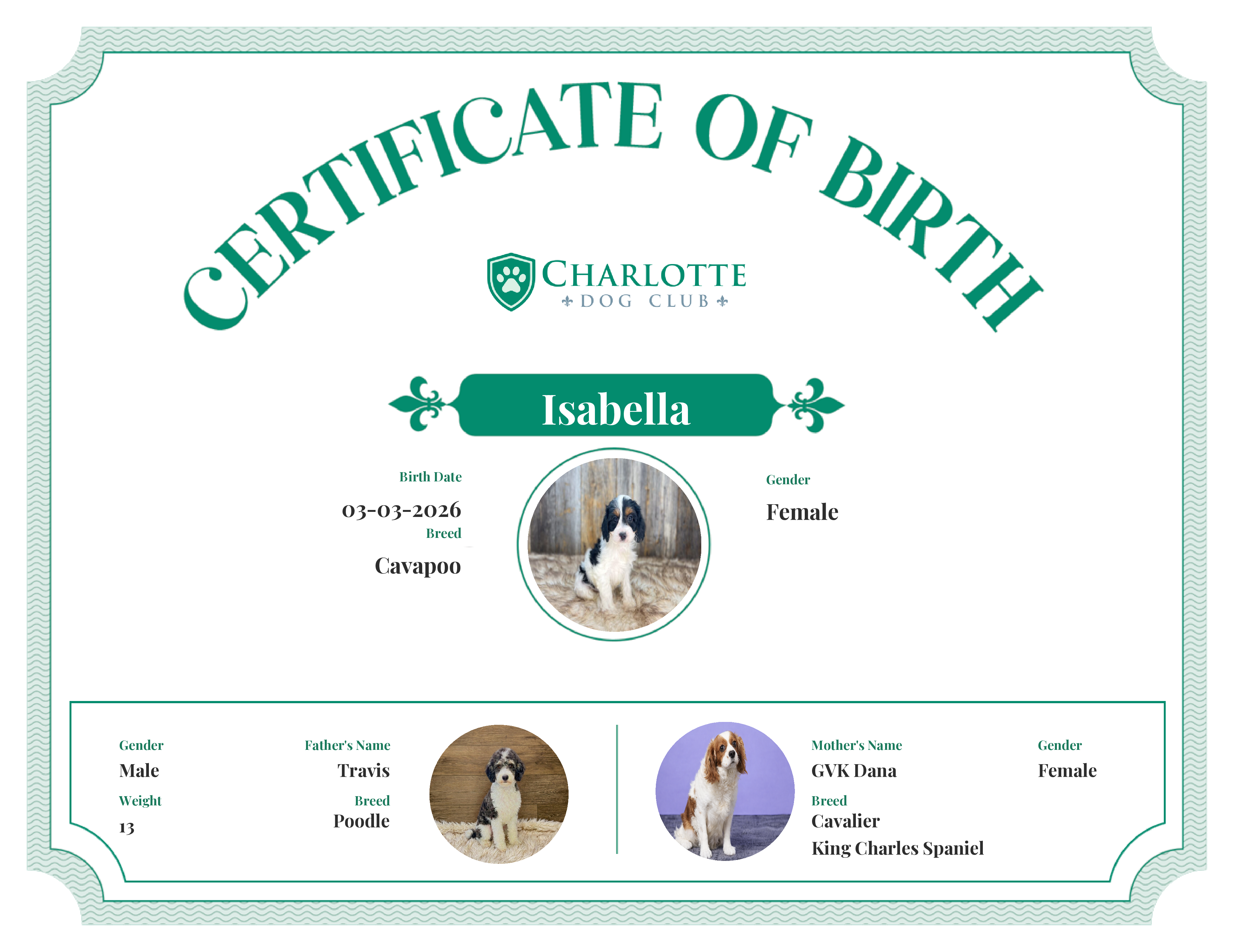 Isabella's Birth Certificate