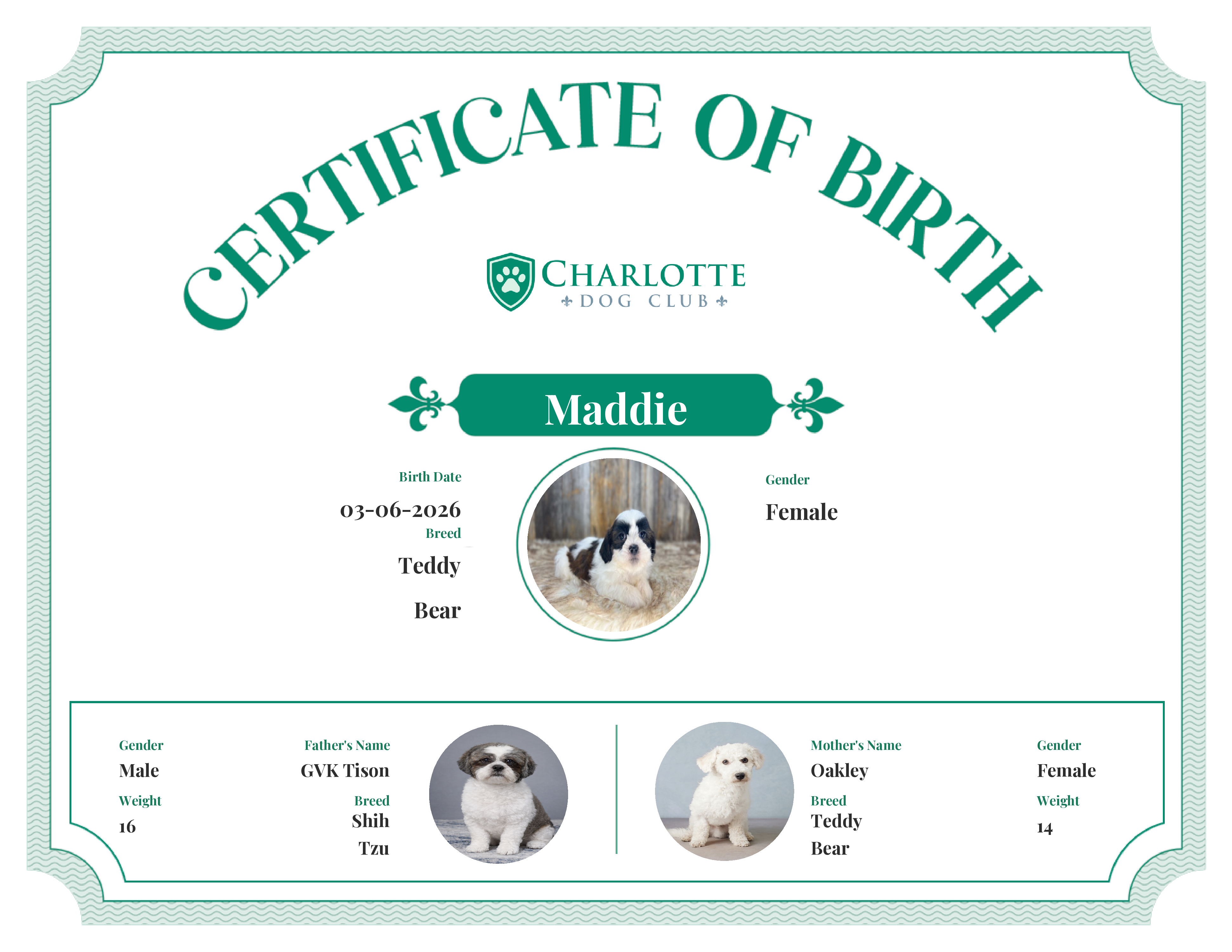 Maddie's Birth Certificate