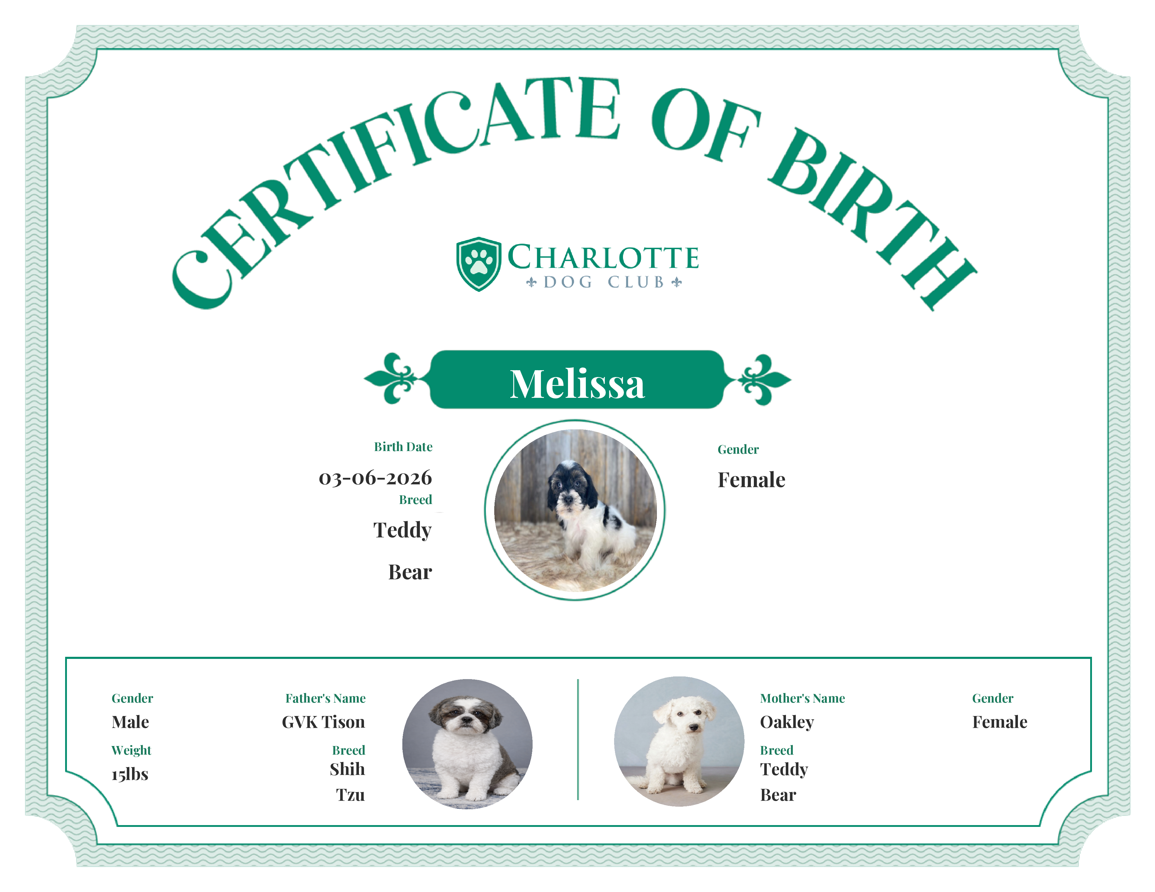 Melissa's Birth Certificate