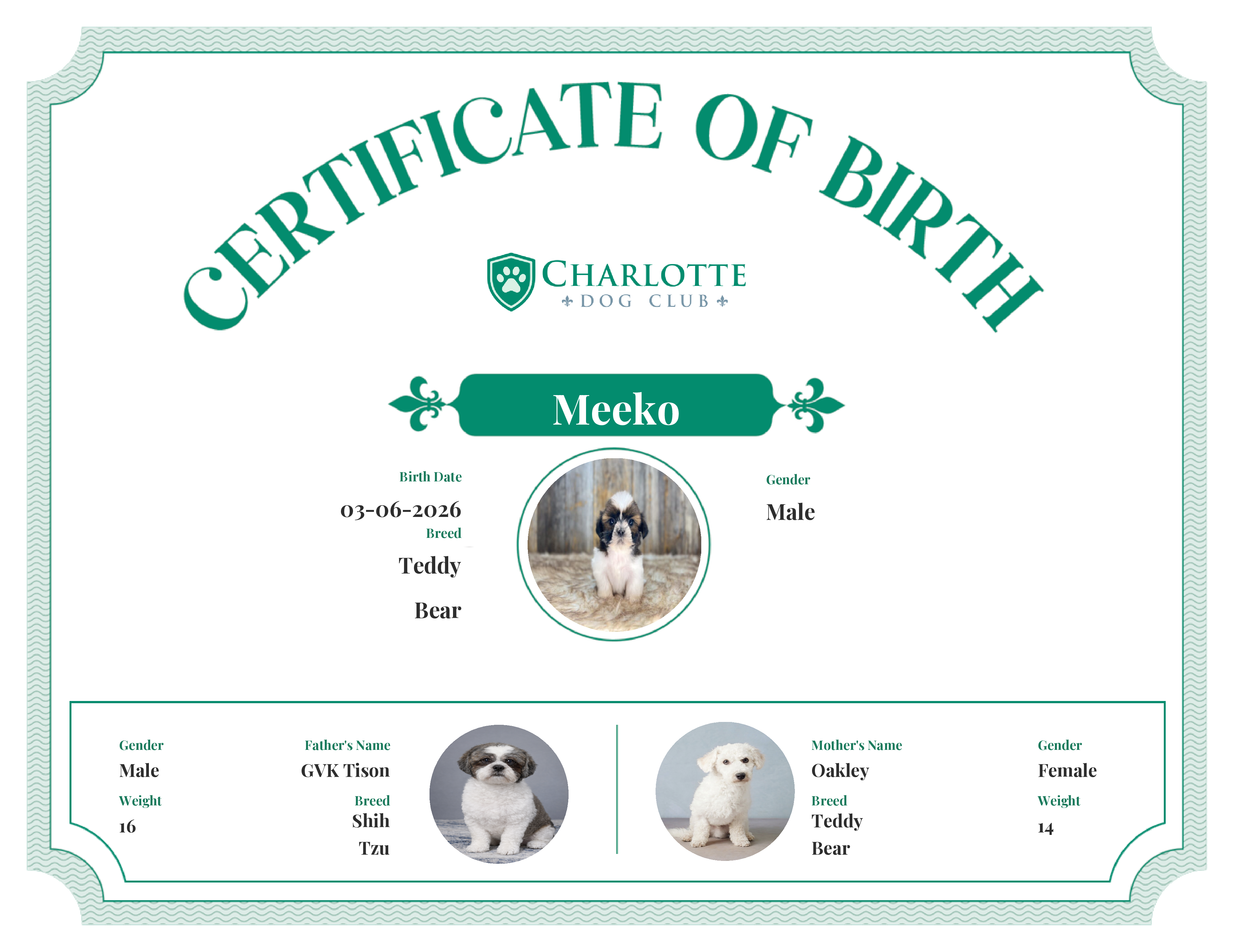 Meeko's Birth Certificate