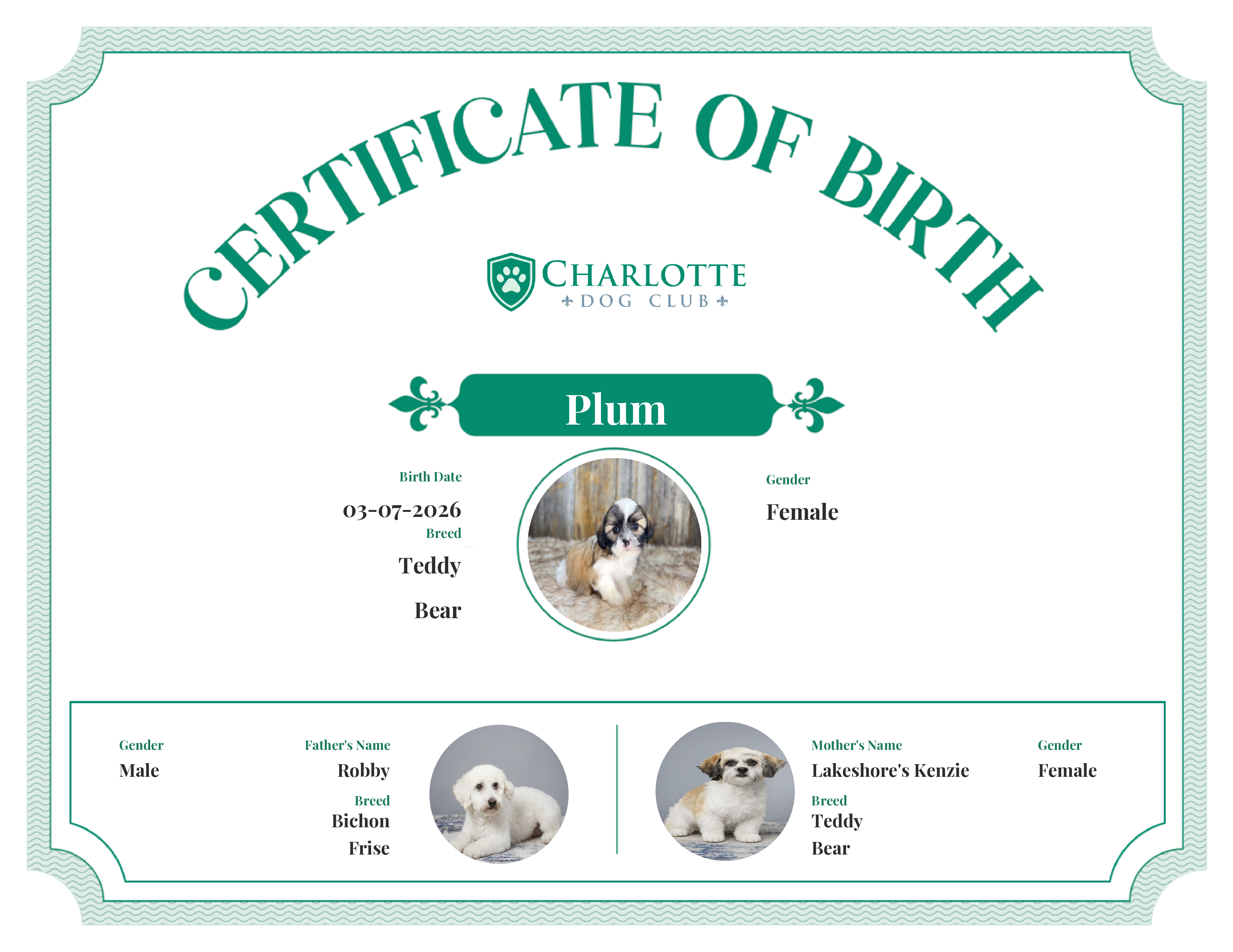 Plum's Birth Certificate