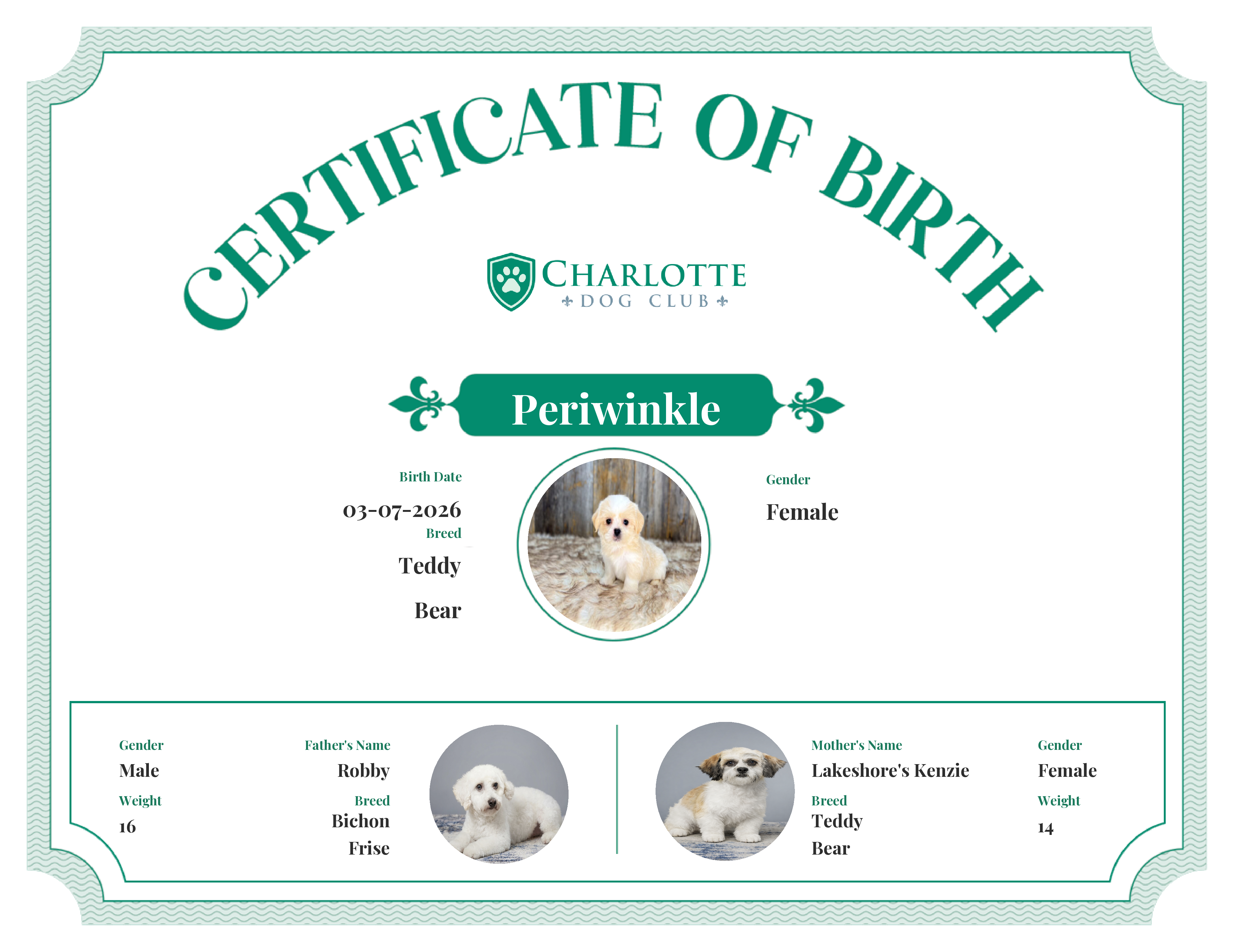 Periwinkle's Birth Certificate