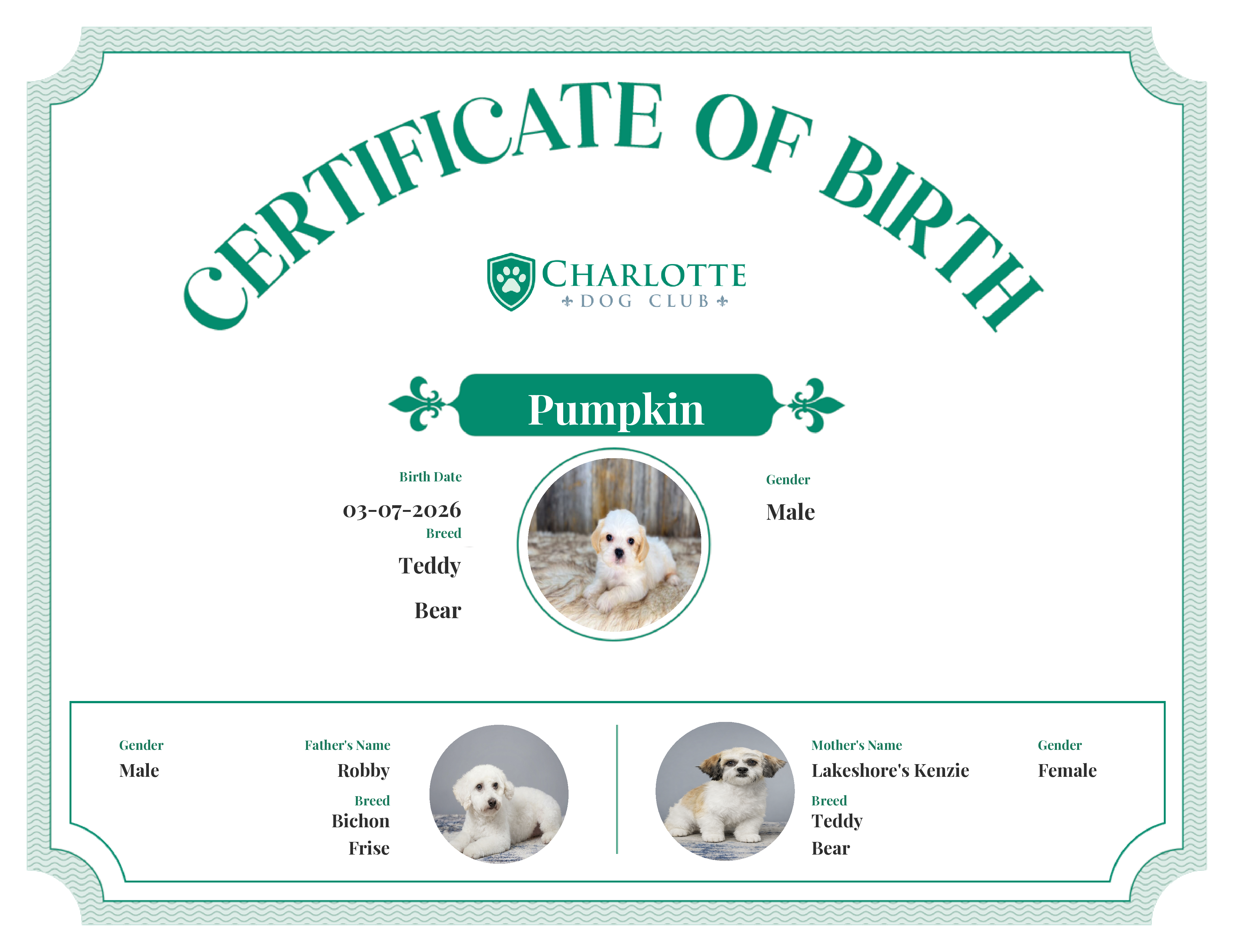 Pumpkin's Birth Certificate