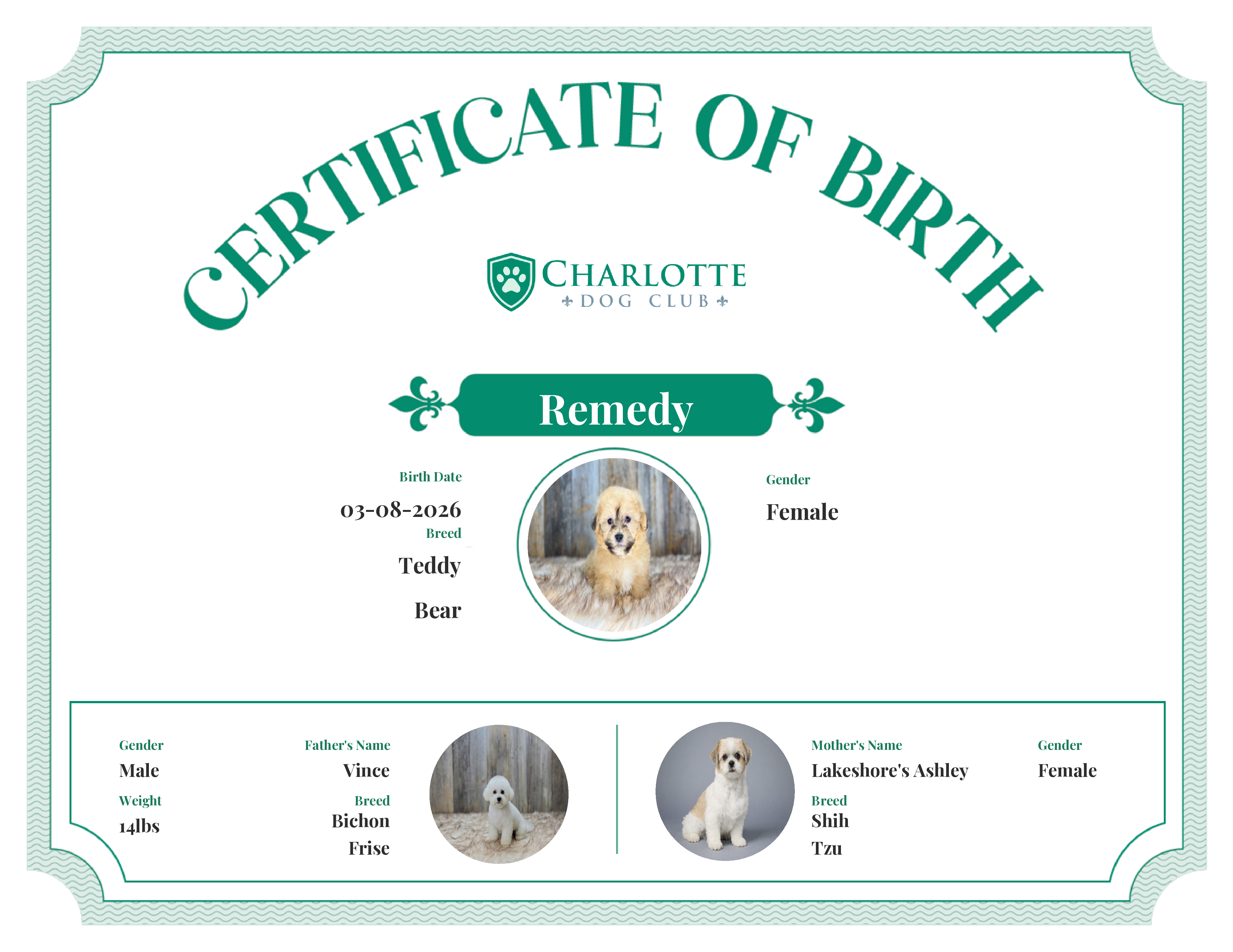 Remedy's Birth Certificate