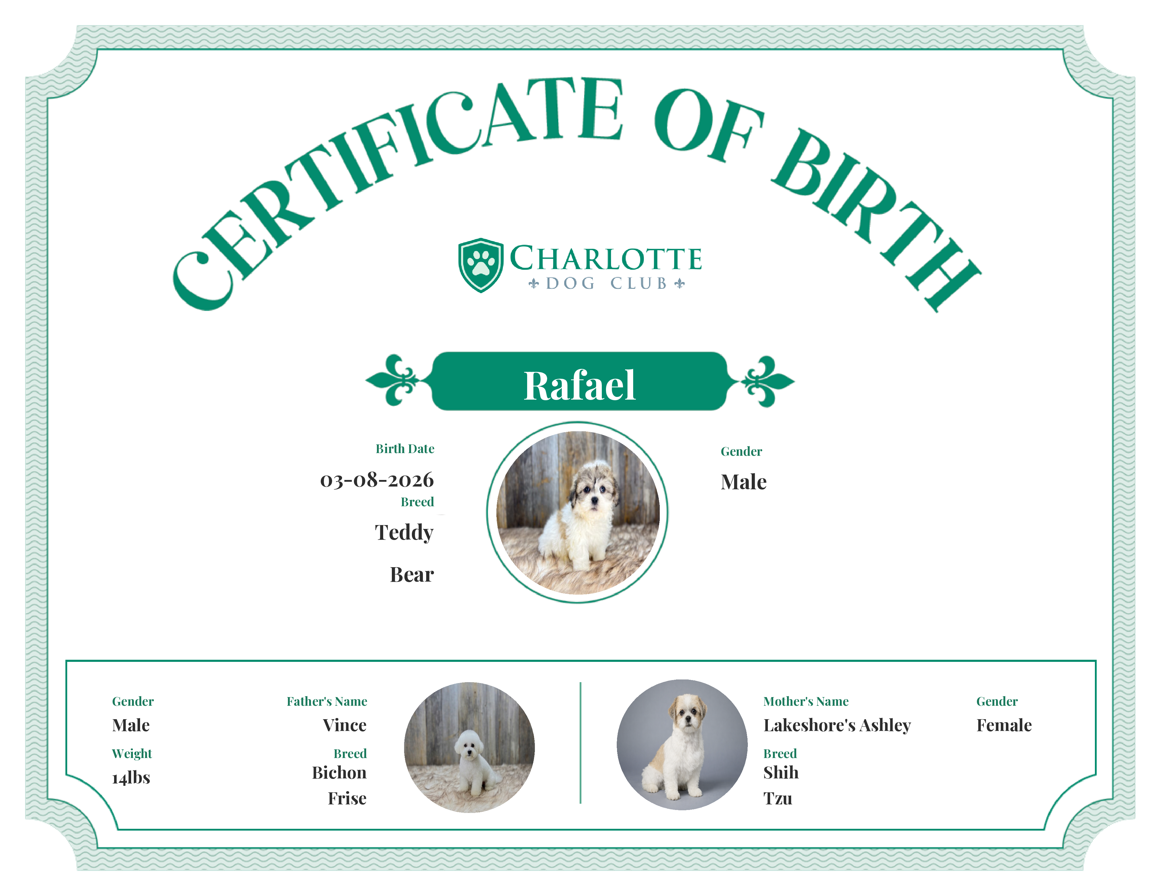 Rafael's Birth Certificate
