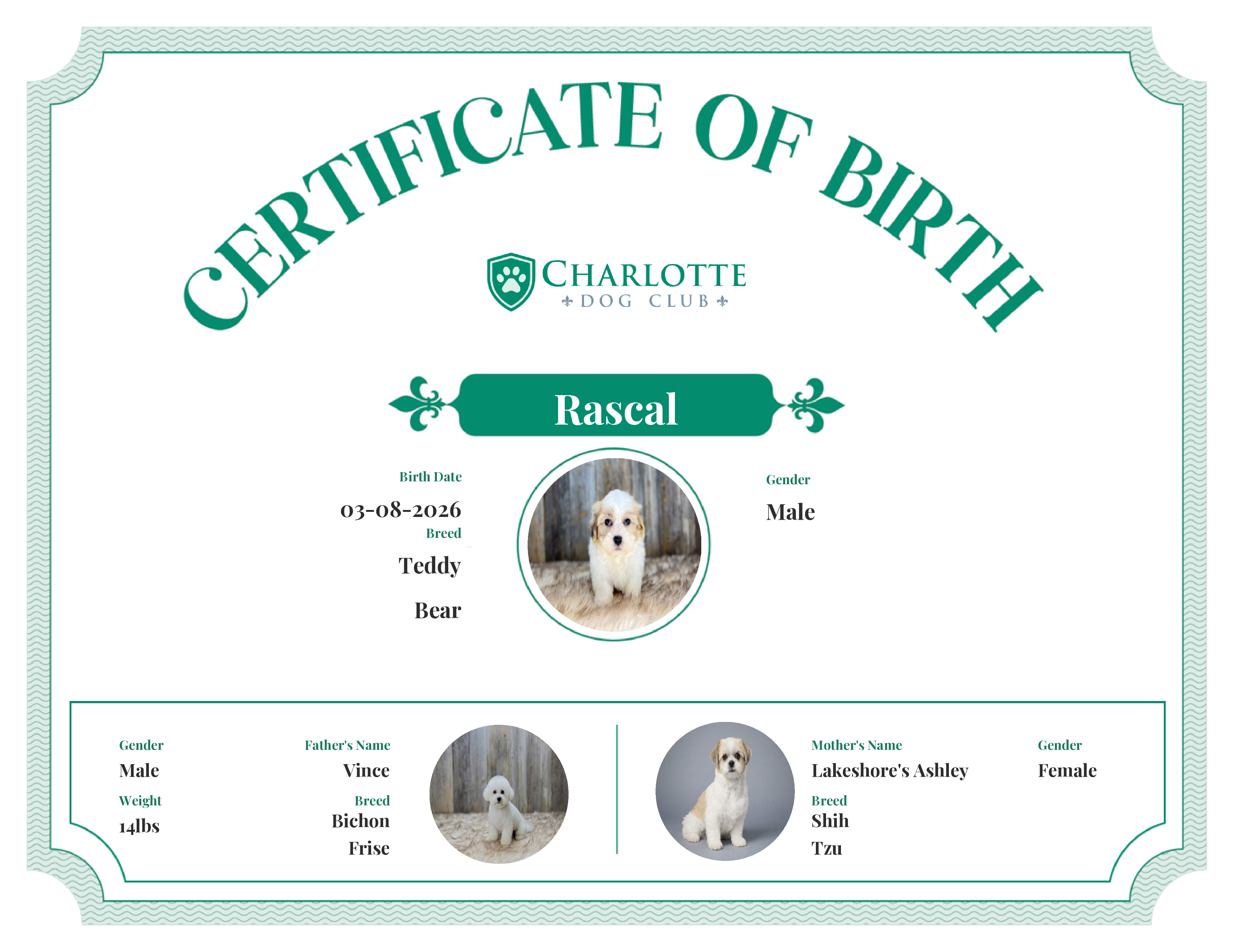 Rascal's Birth Certificate