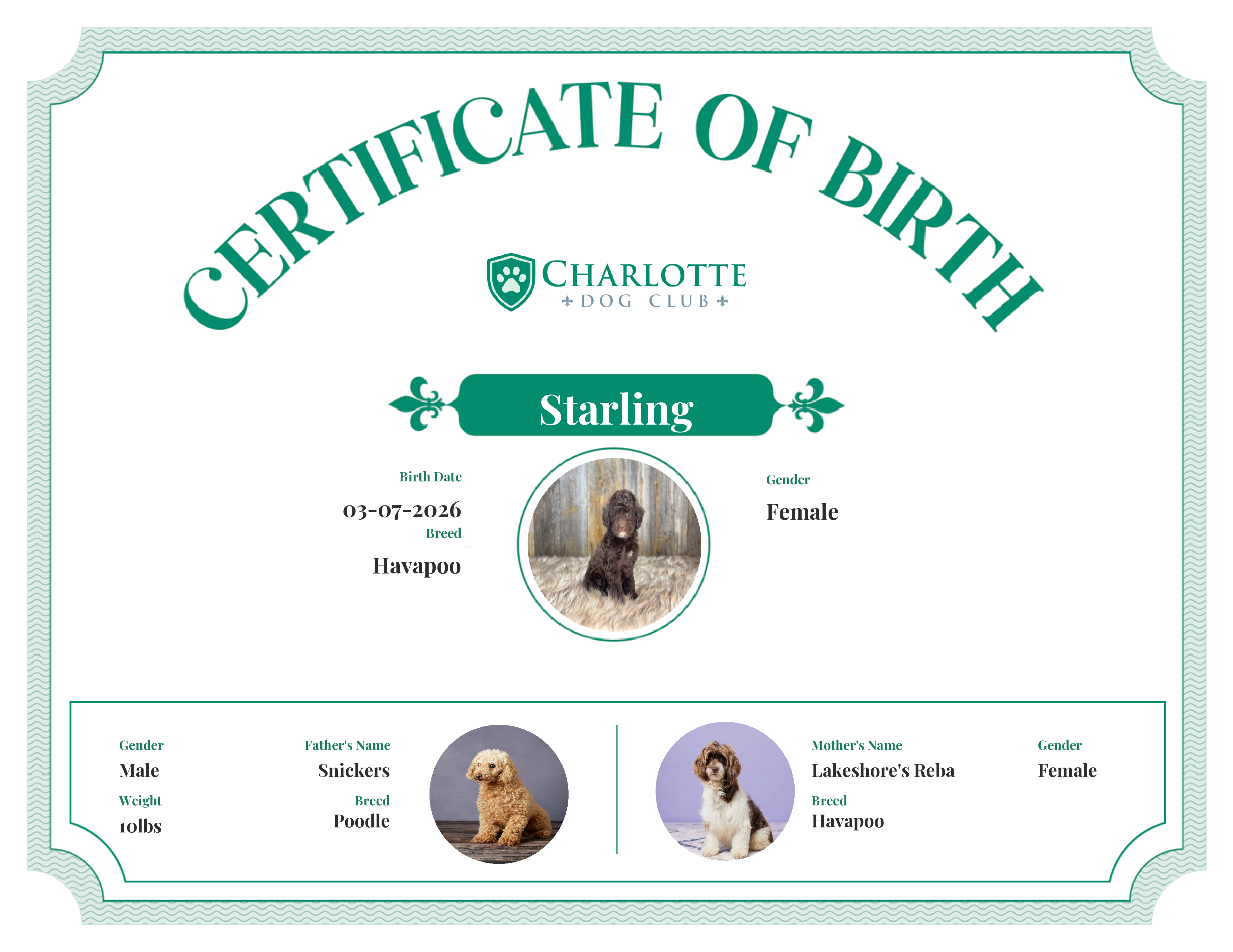 Starling's Birth Certificate