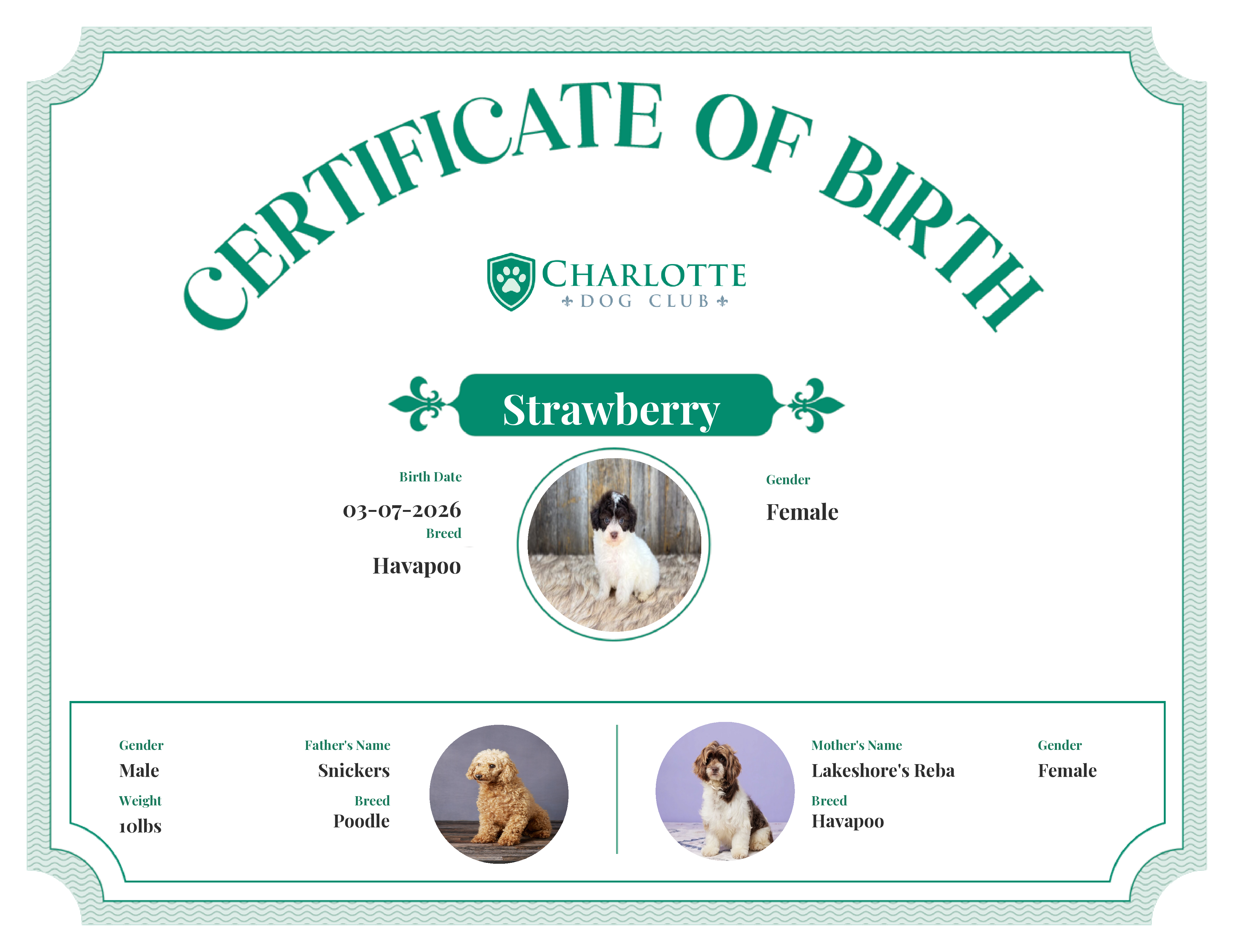 Strawberry 's Birth Certificate
