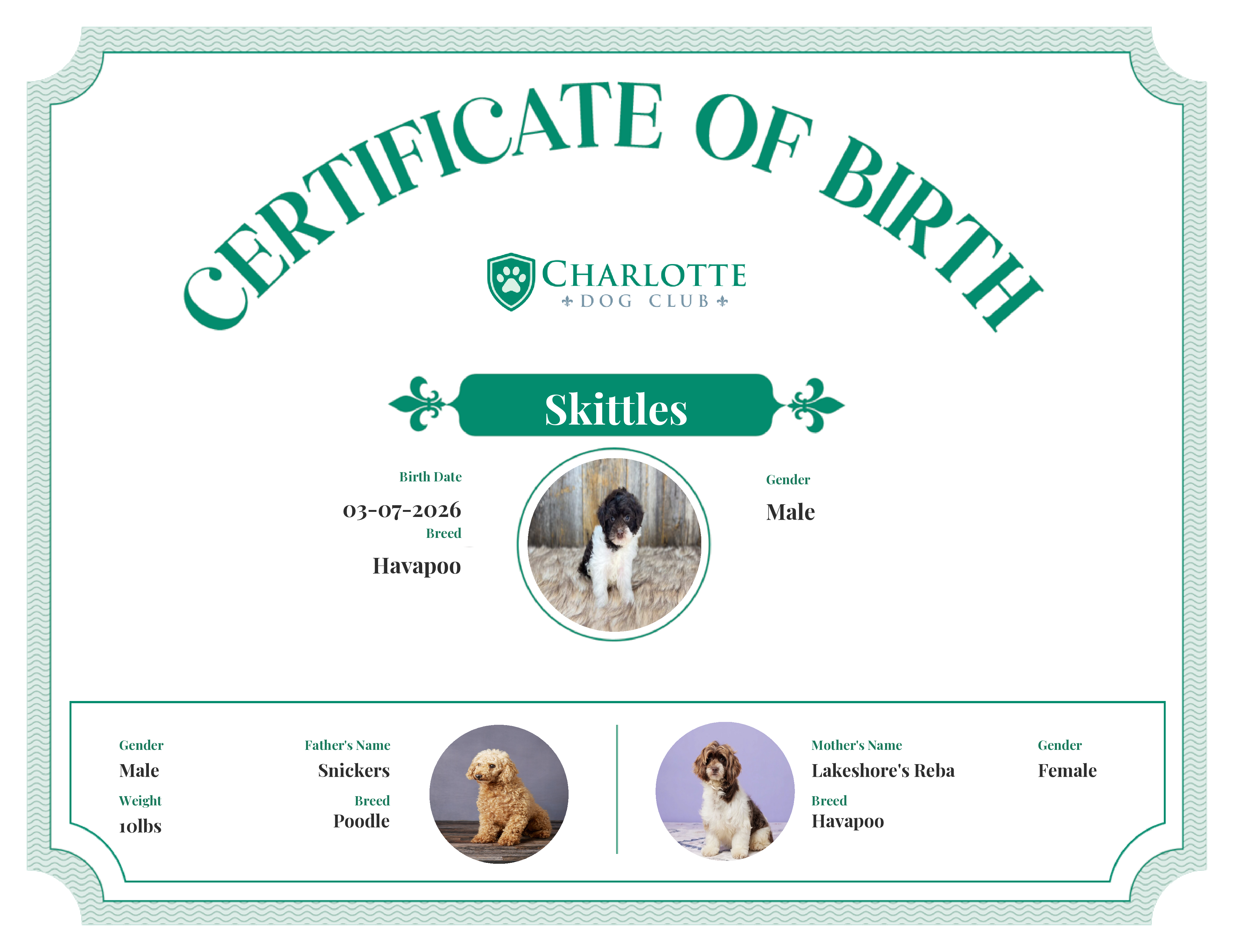 Skittles's Birth Certificate