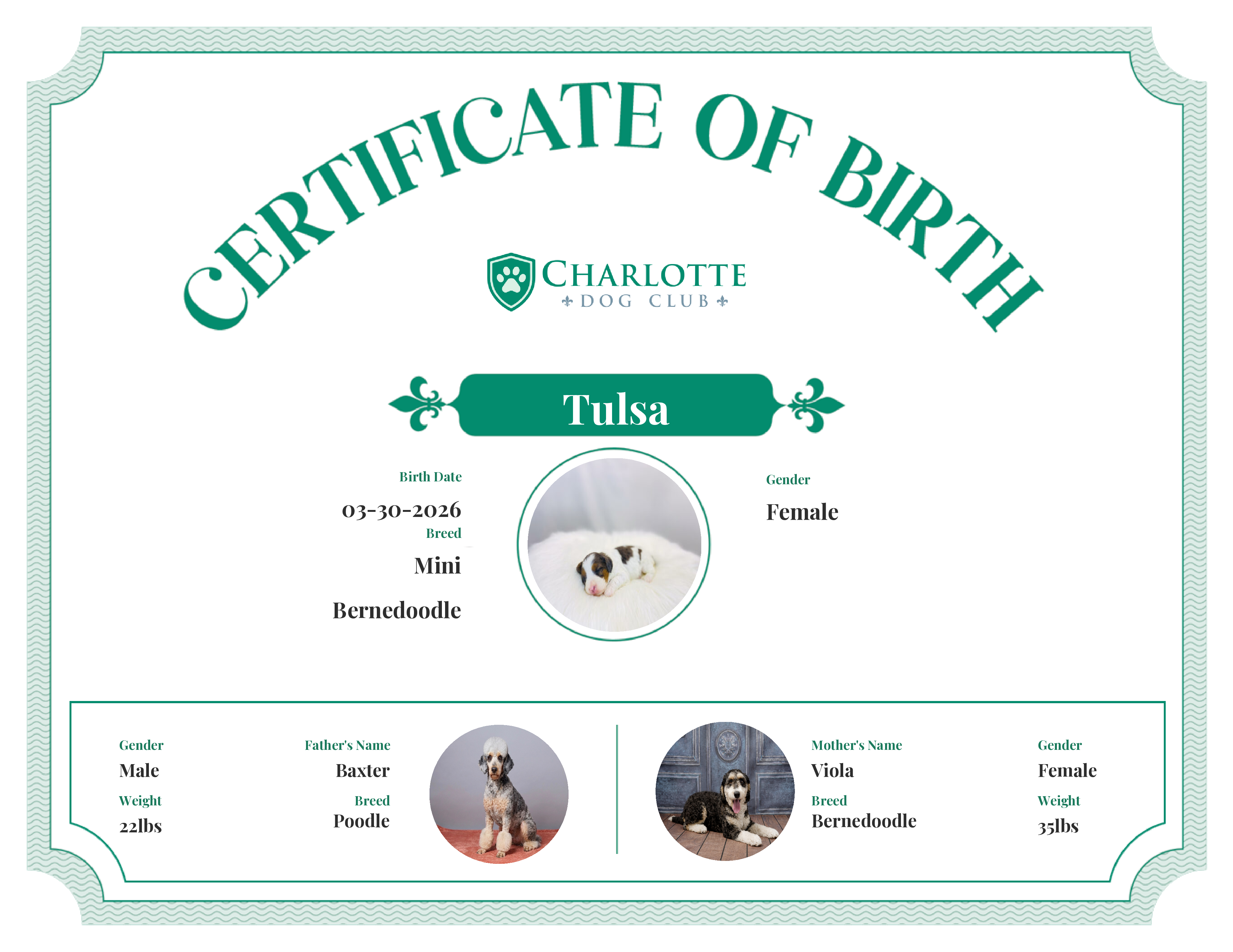 Tulsa's Birth Certificate