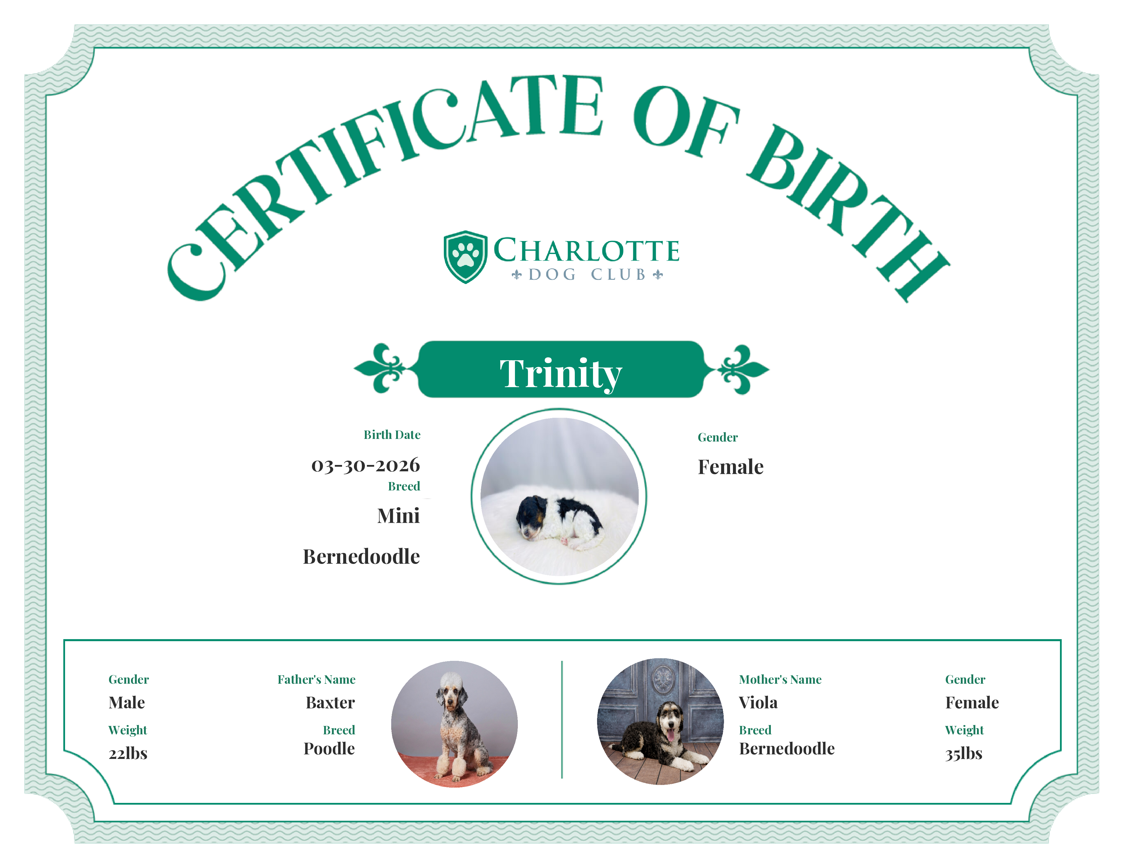 Trinity's Birth Certificate