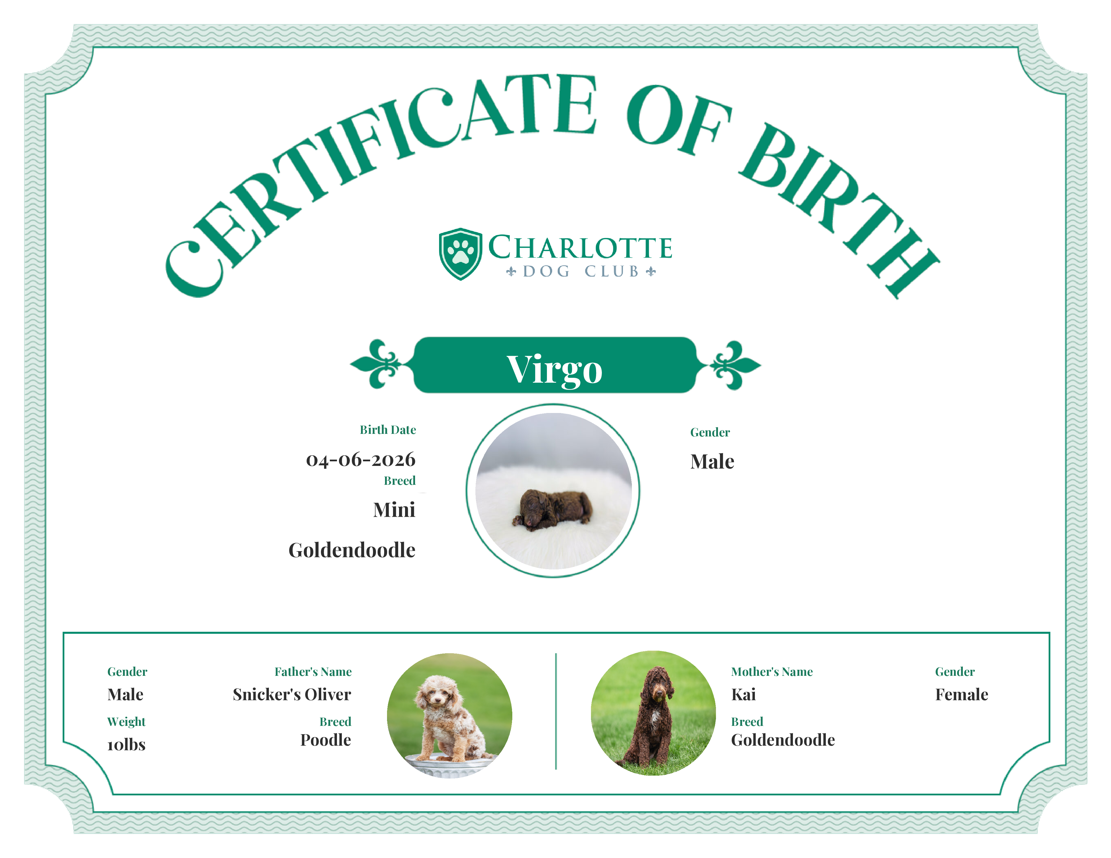 Virgo's Birth Certificate