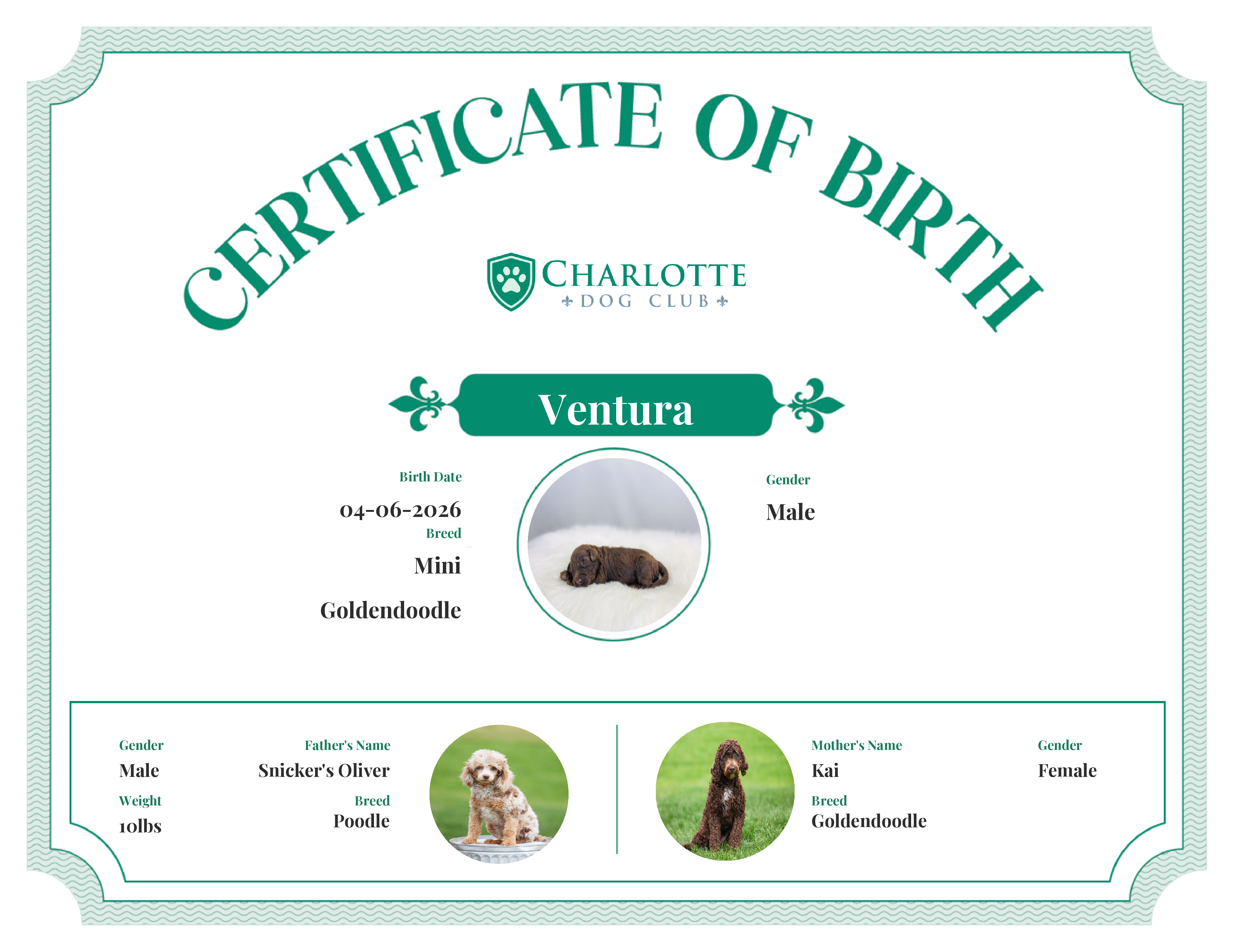 Ventura's Birth Certificate