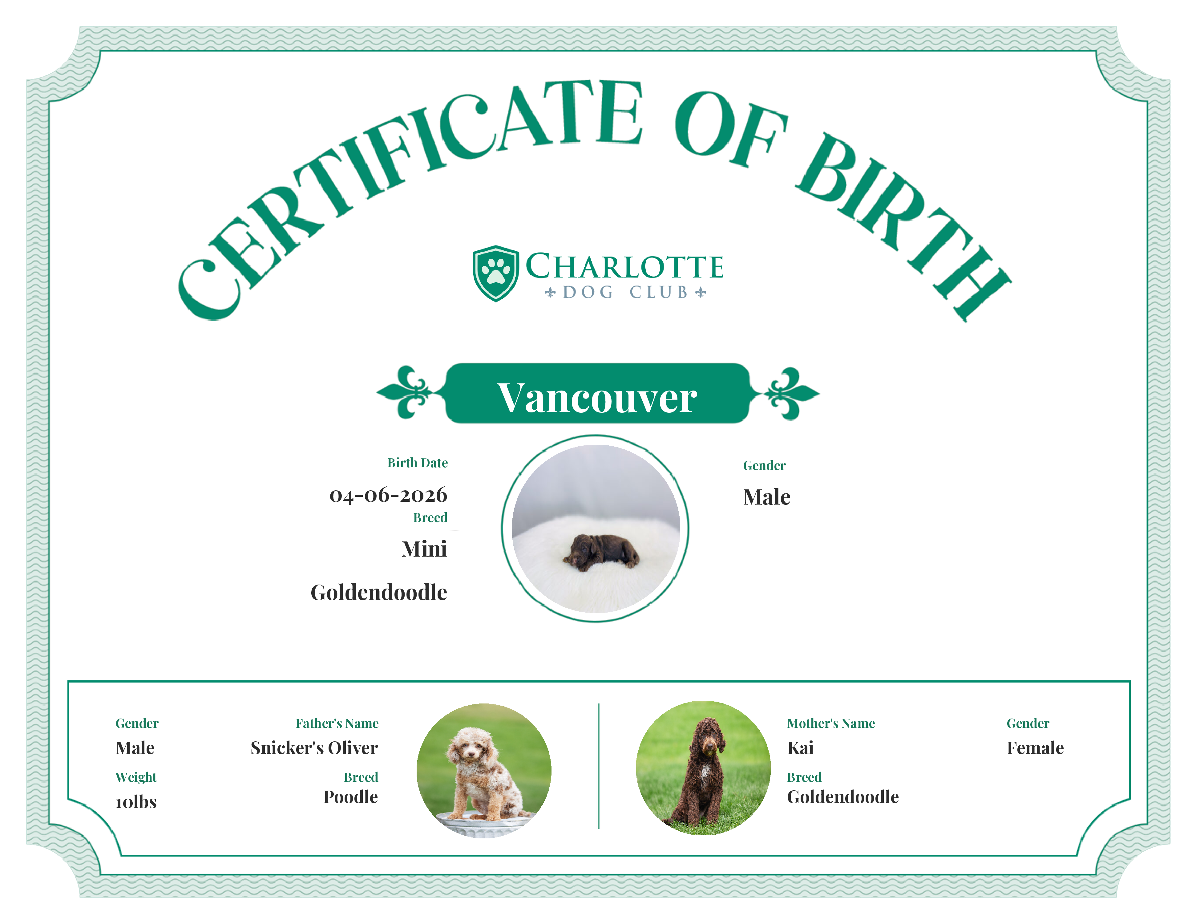 Vancouver's Birth Certificate