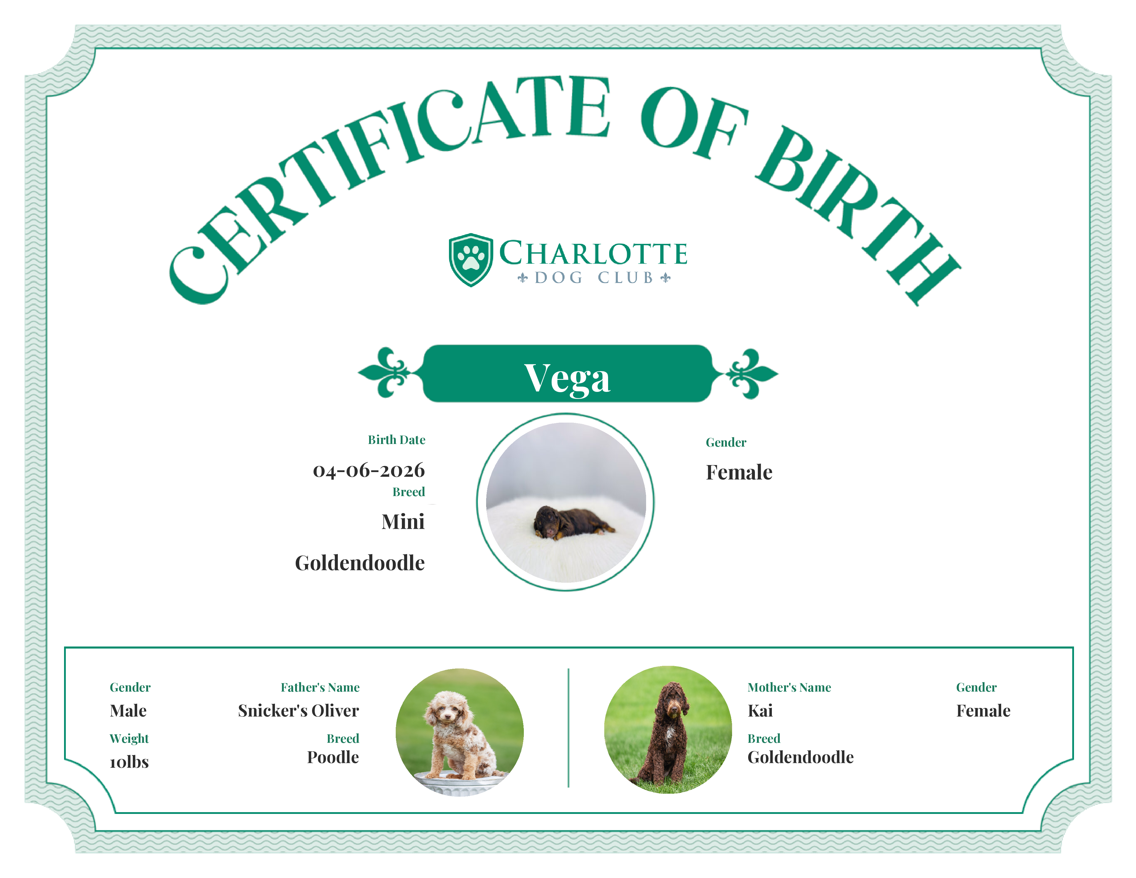 Vega's Birth Certificate