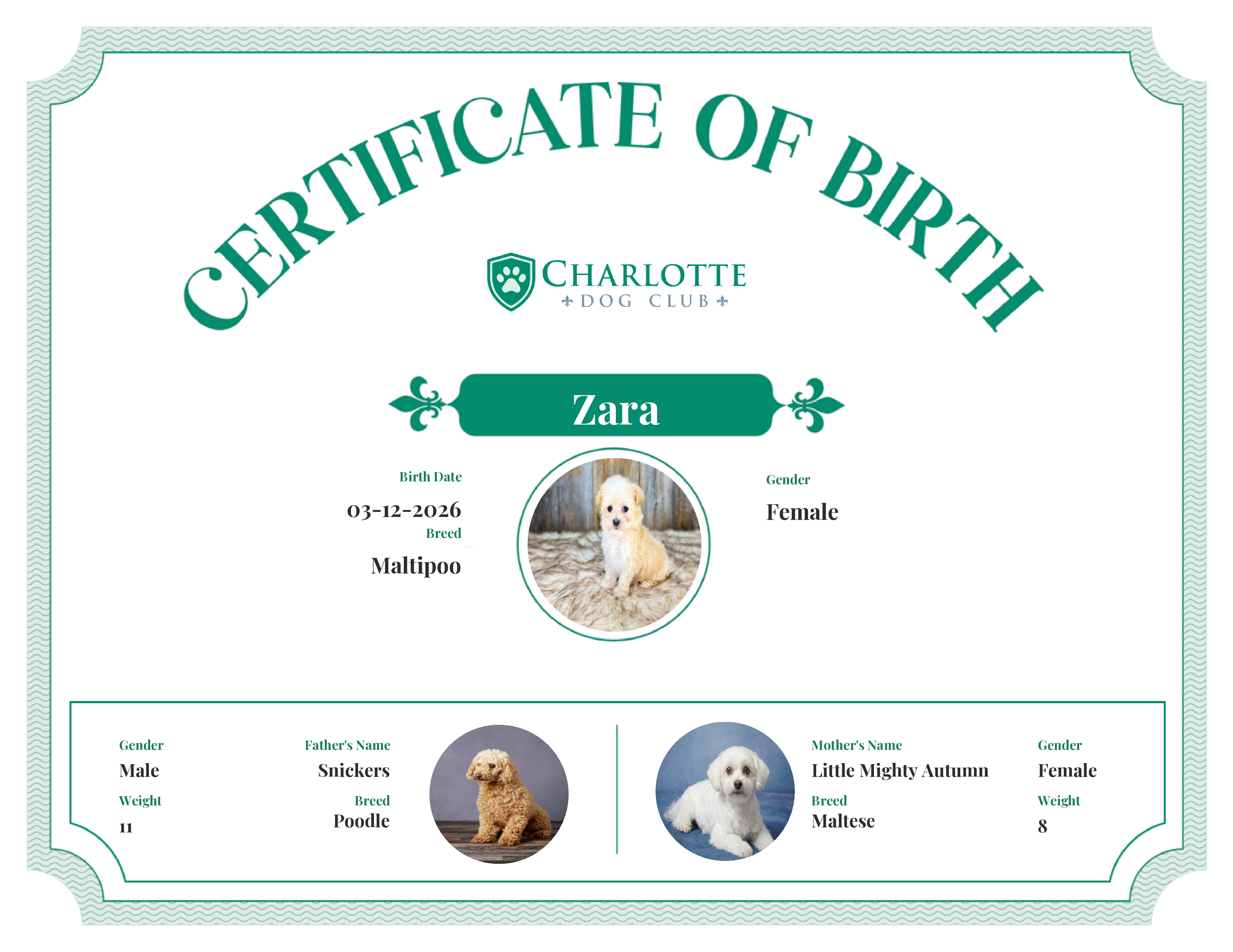 Zara's Birth Certificate