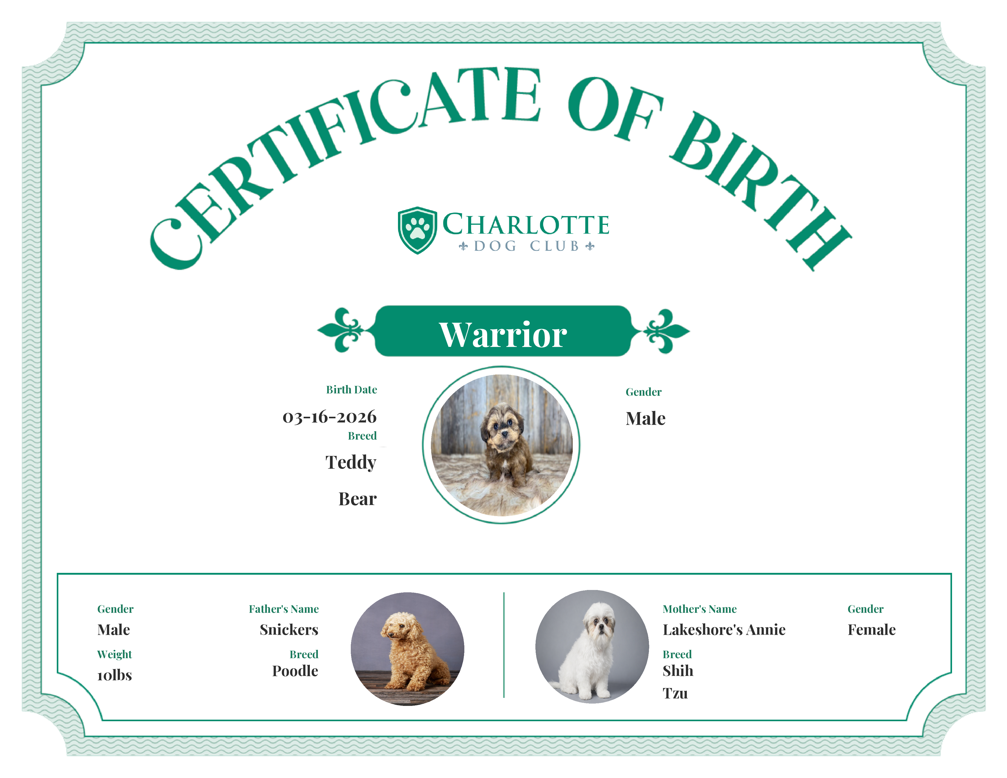 Warrior's Birth Certificate