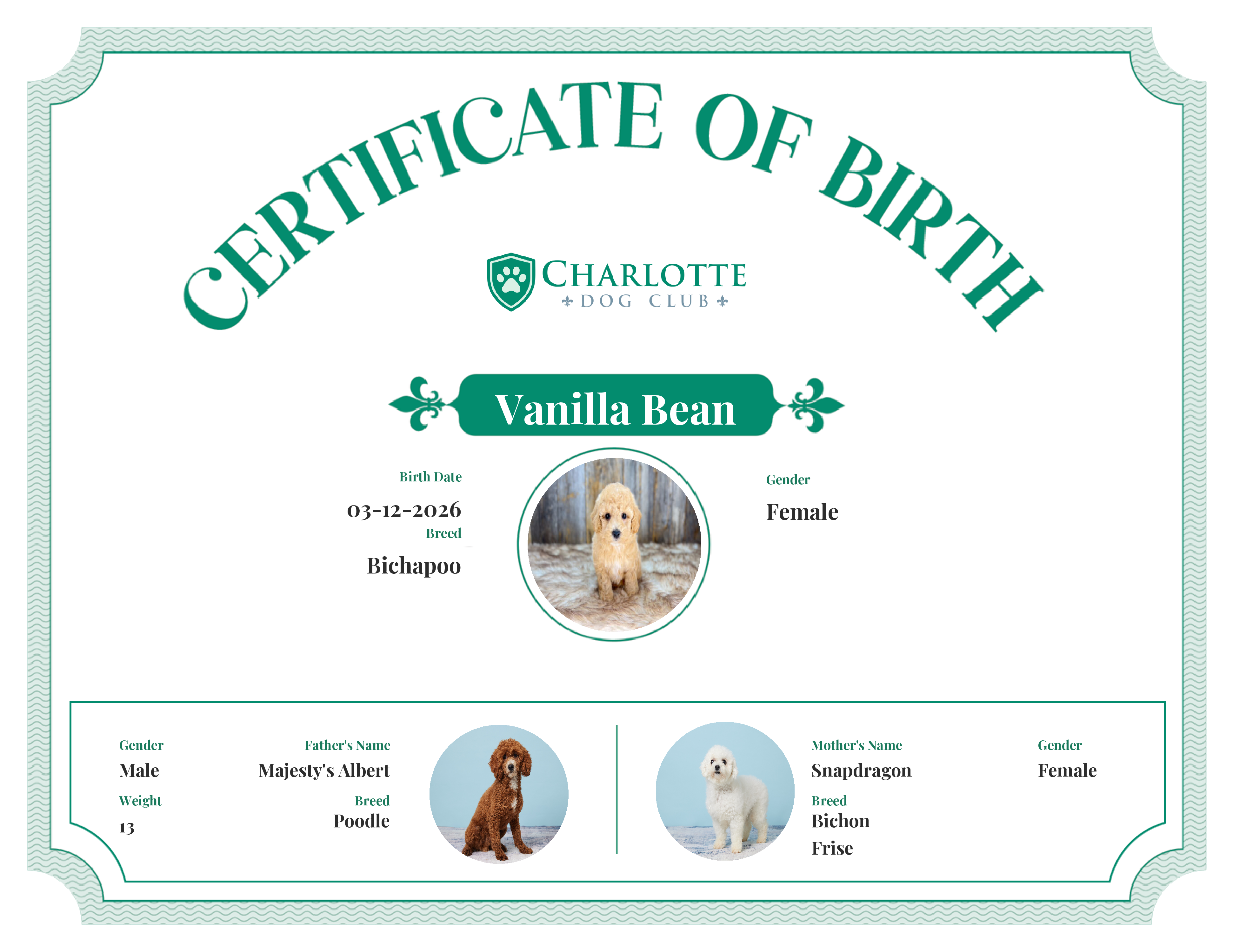Vanilla Bean's Birth Certificate