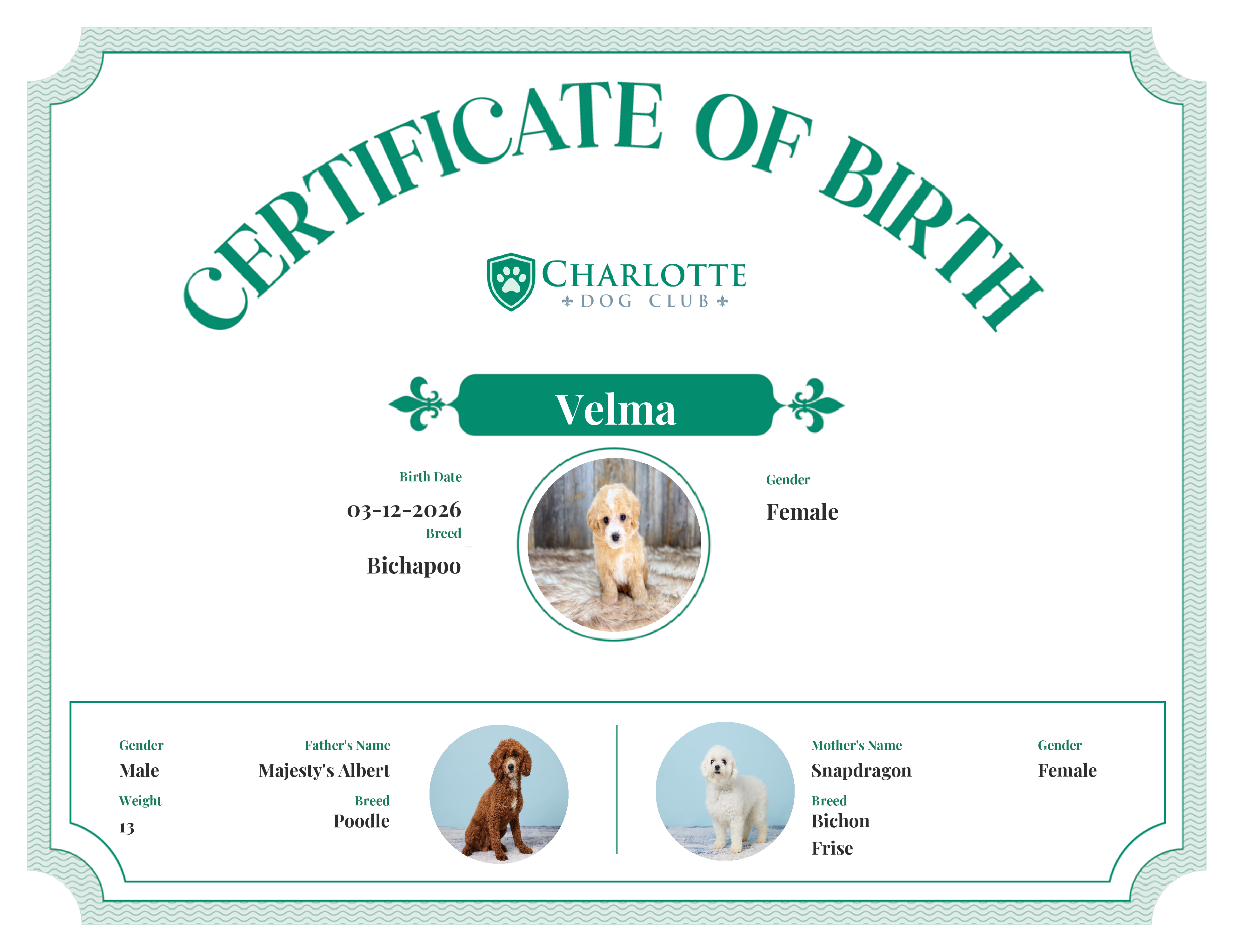 Velma's Birth Certificate