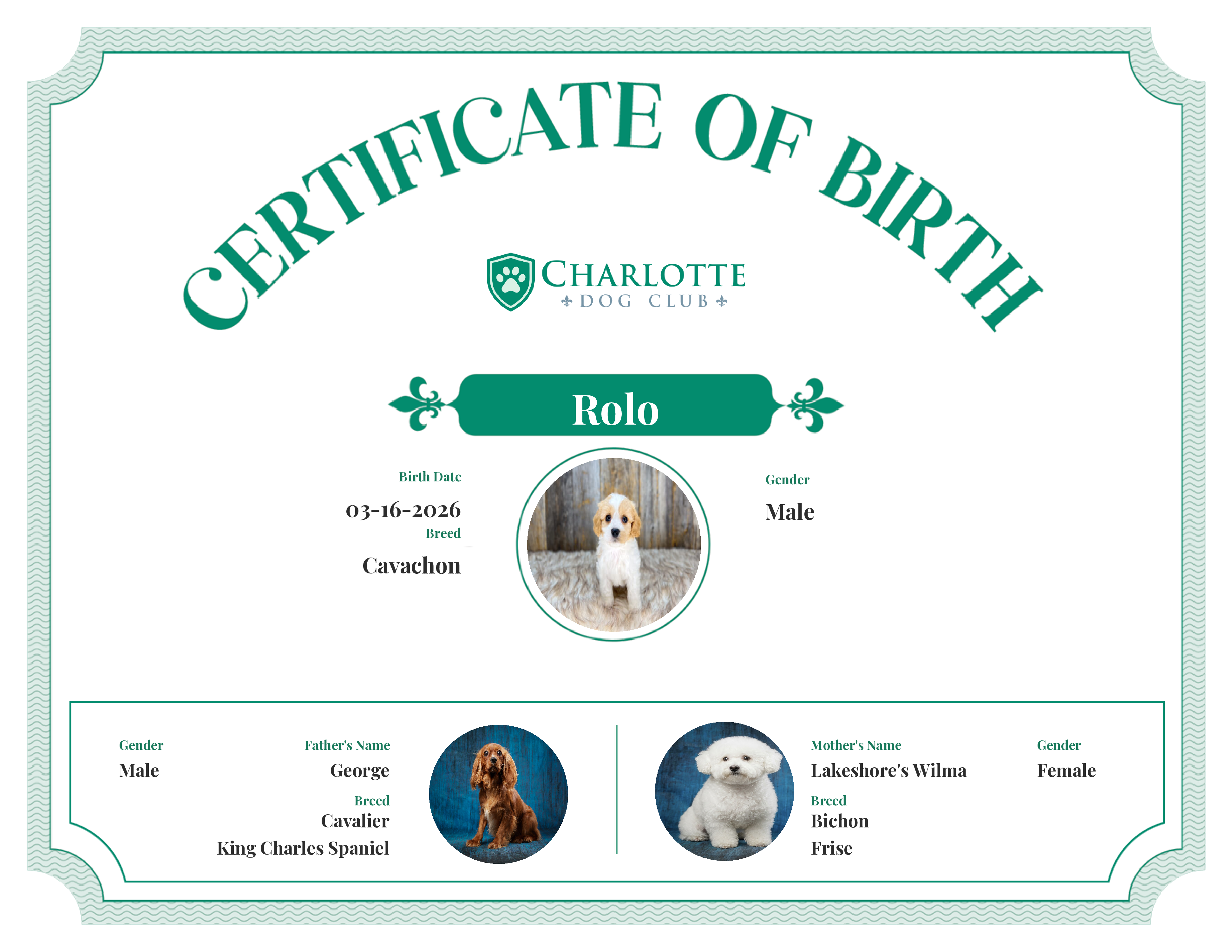 Rolo's Birth Certificate