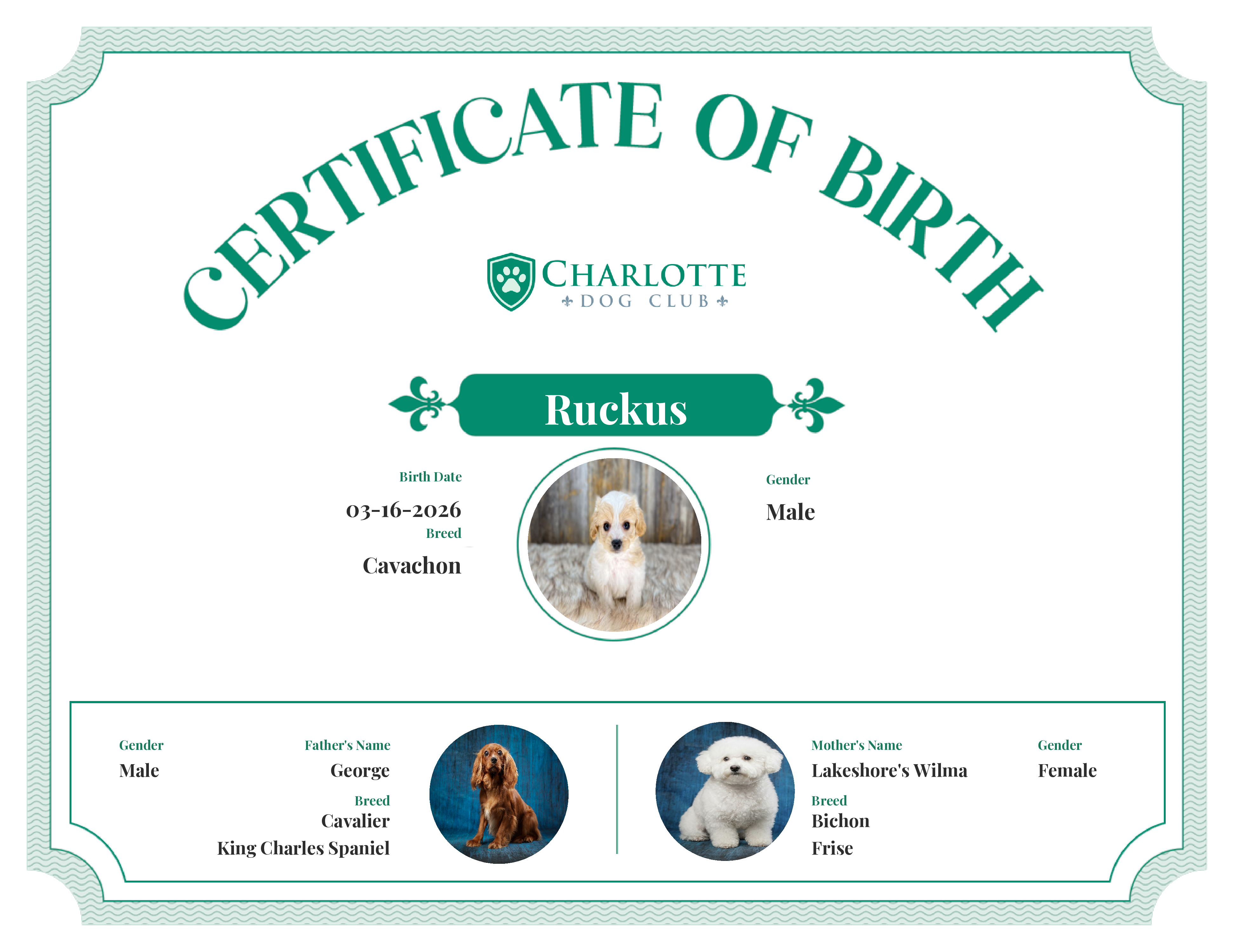 Ruckus's Birth Certificate