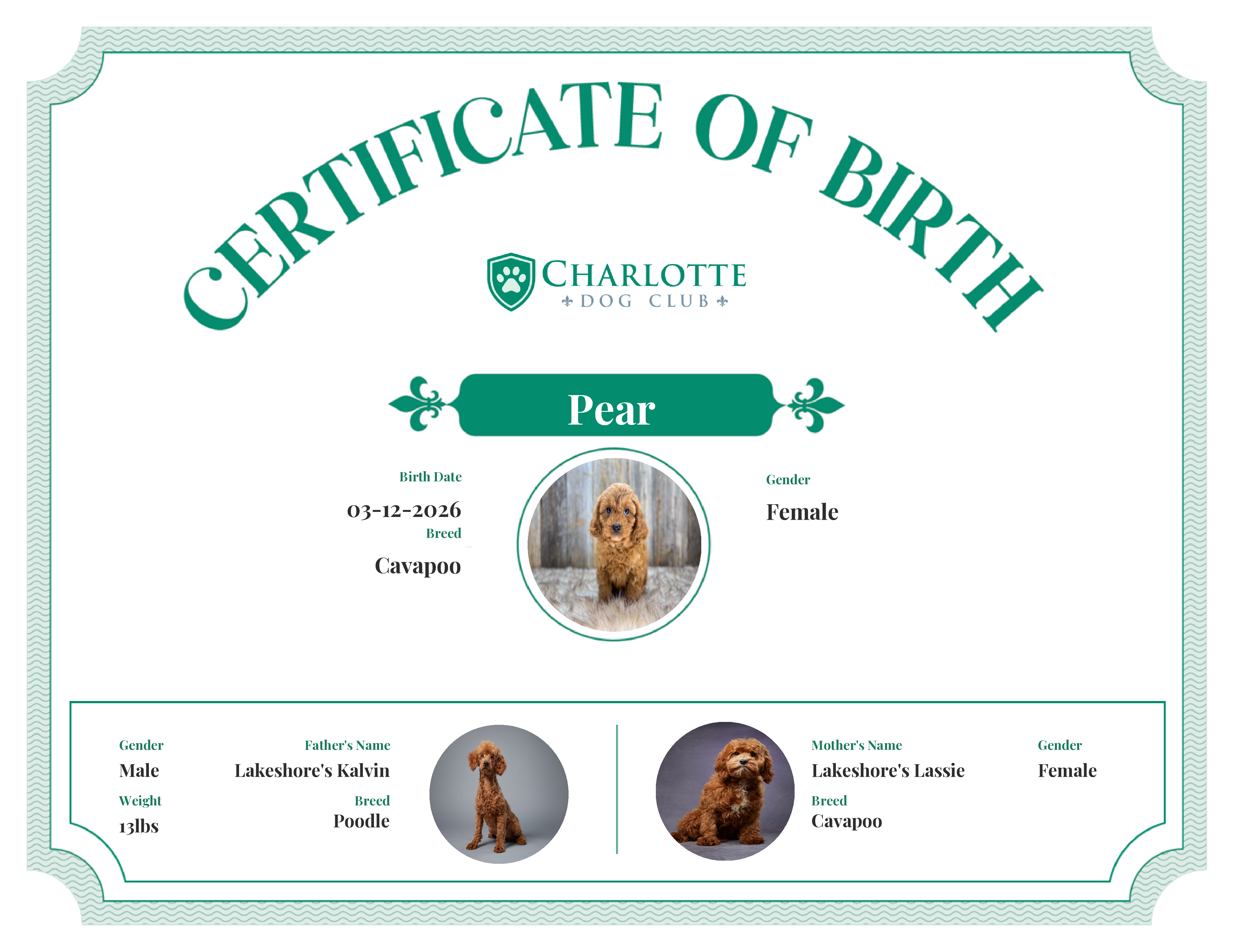 Pear 's Birth Certificate