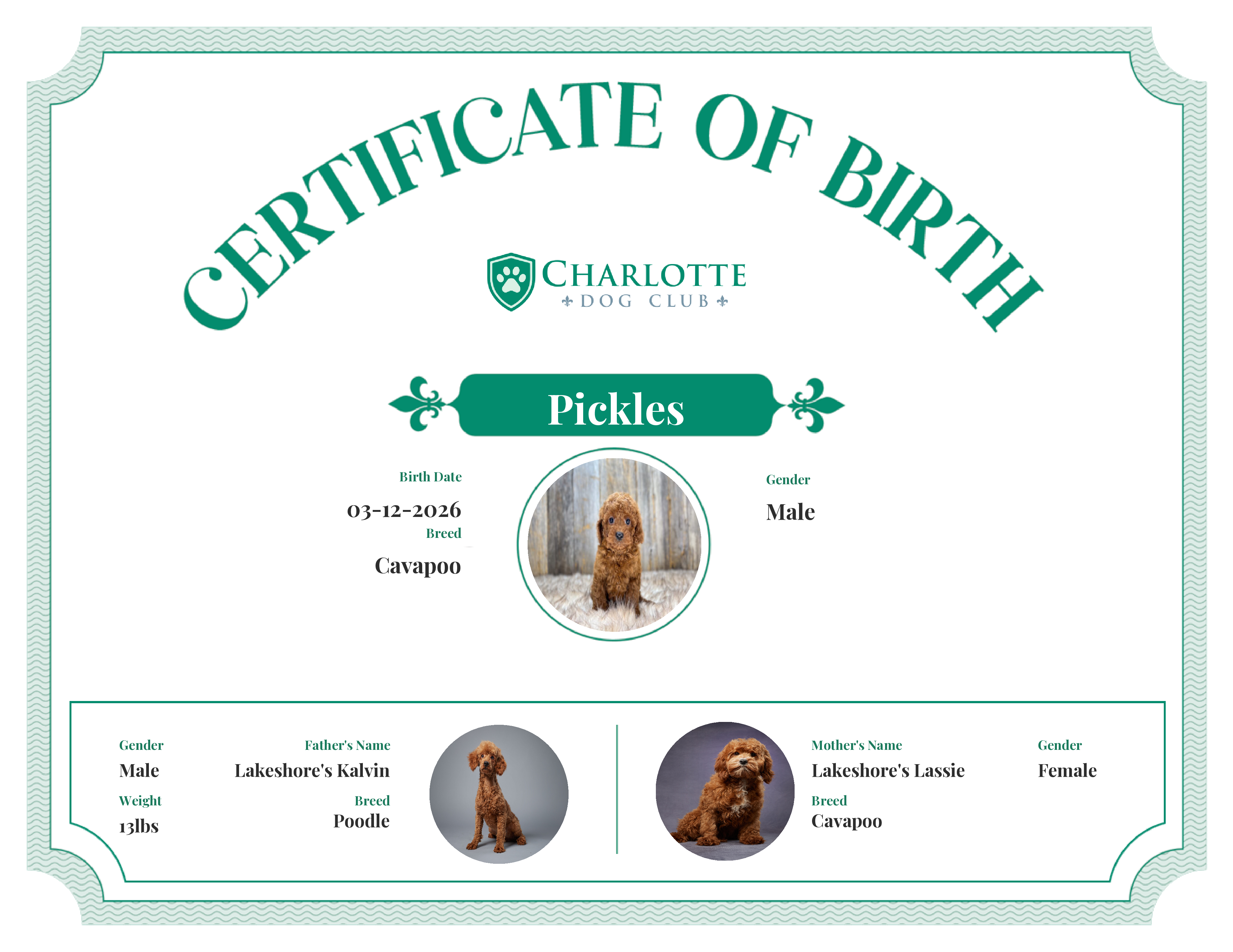 Pickles's Birth Certificate