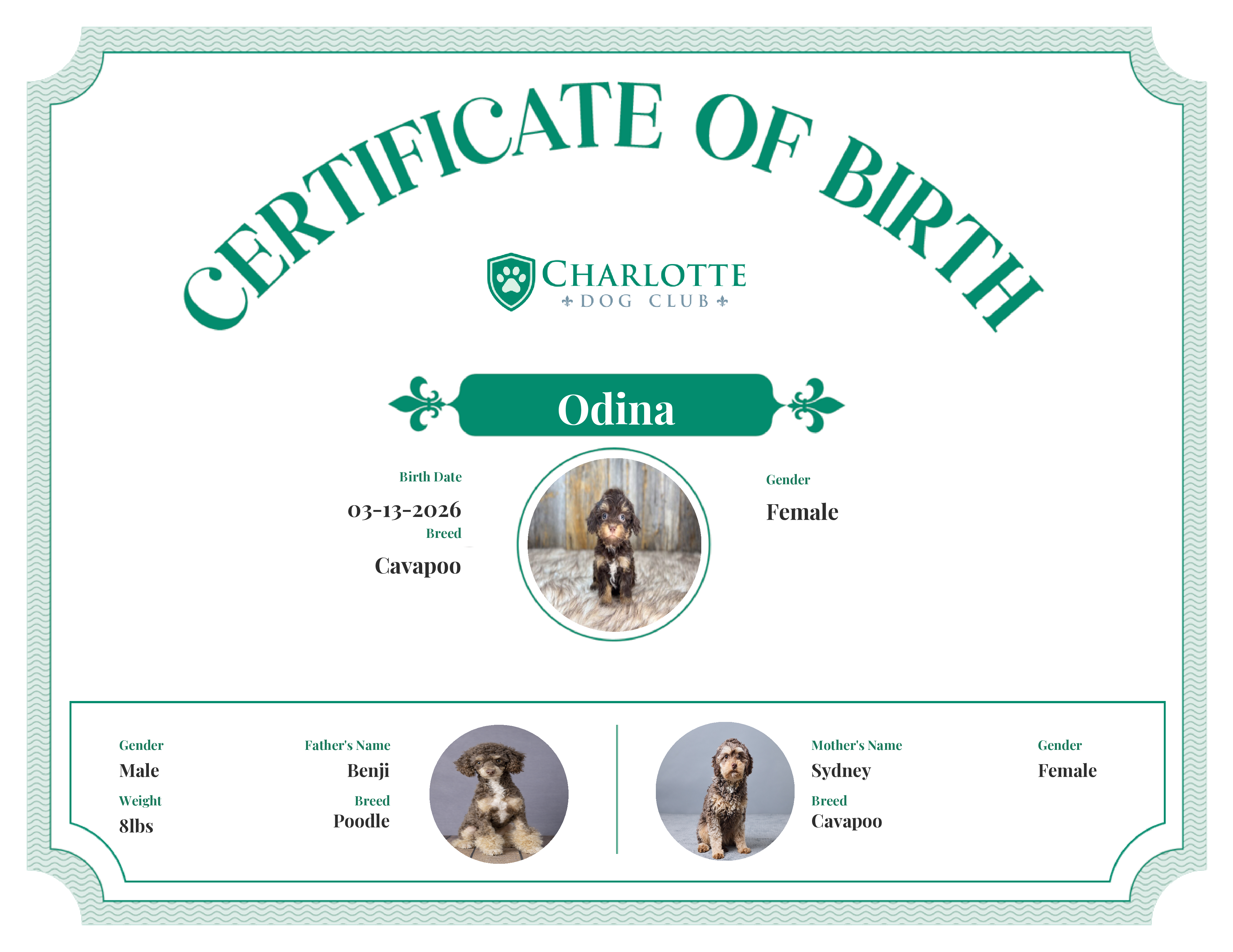 Odina's Birth Certificate