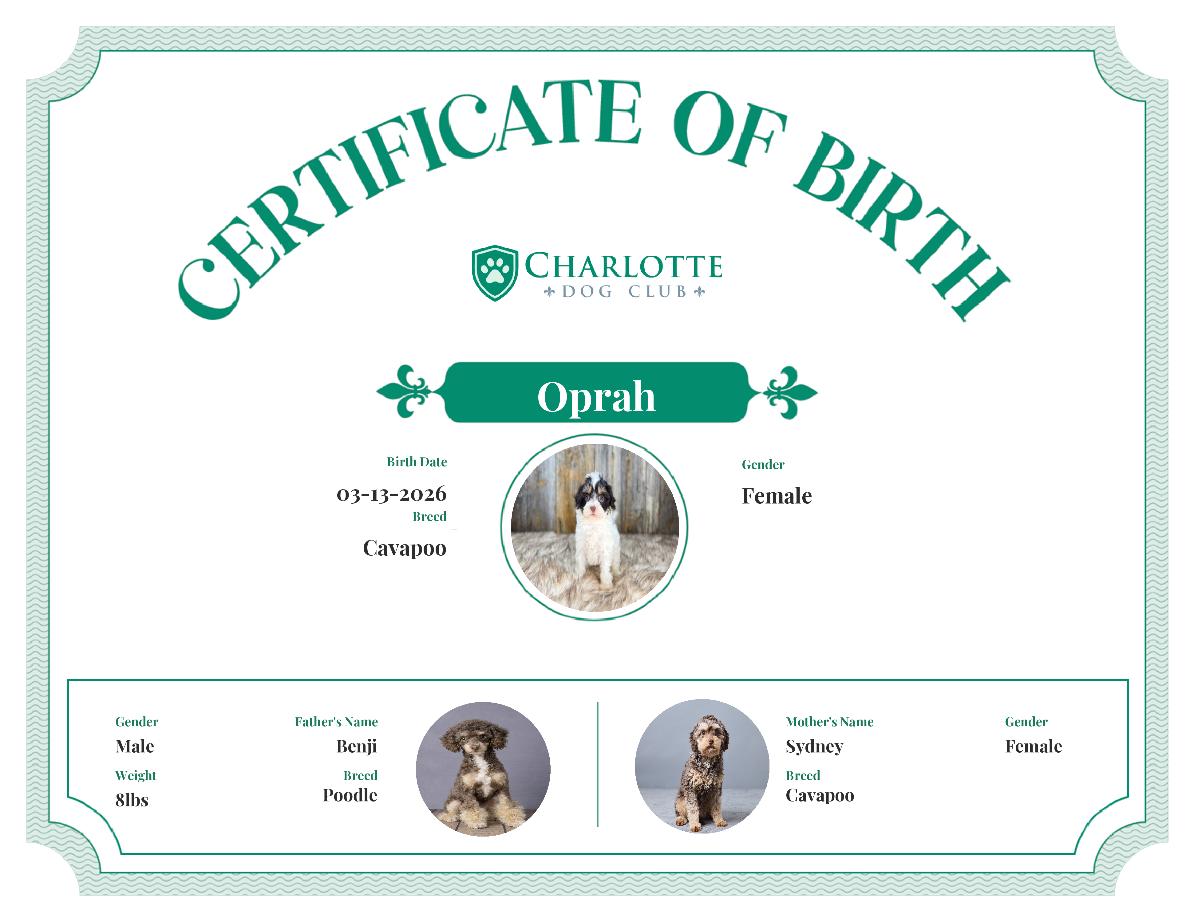 Oprah's Birth Certificate