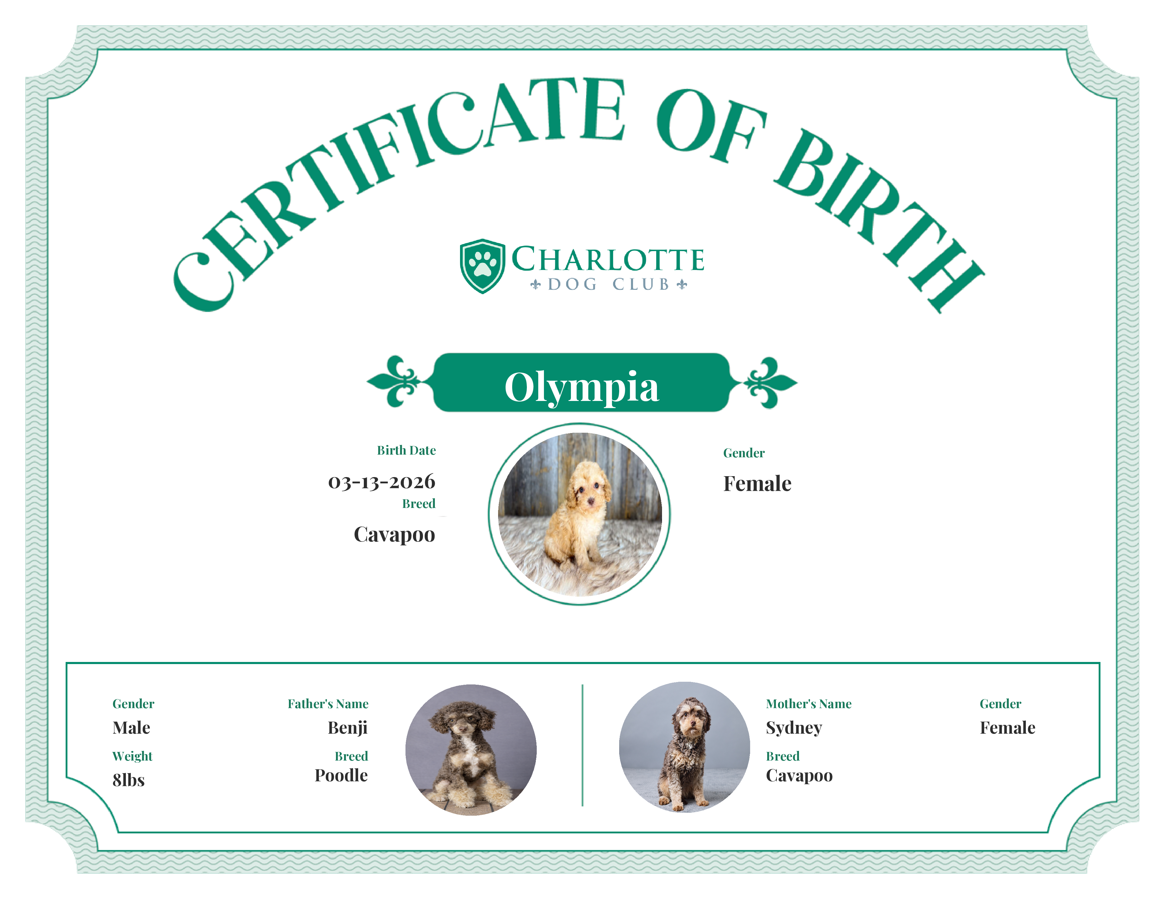 Olympia's Birth Certificate
