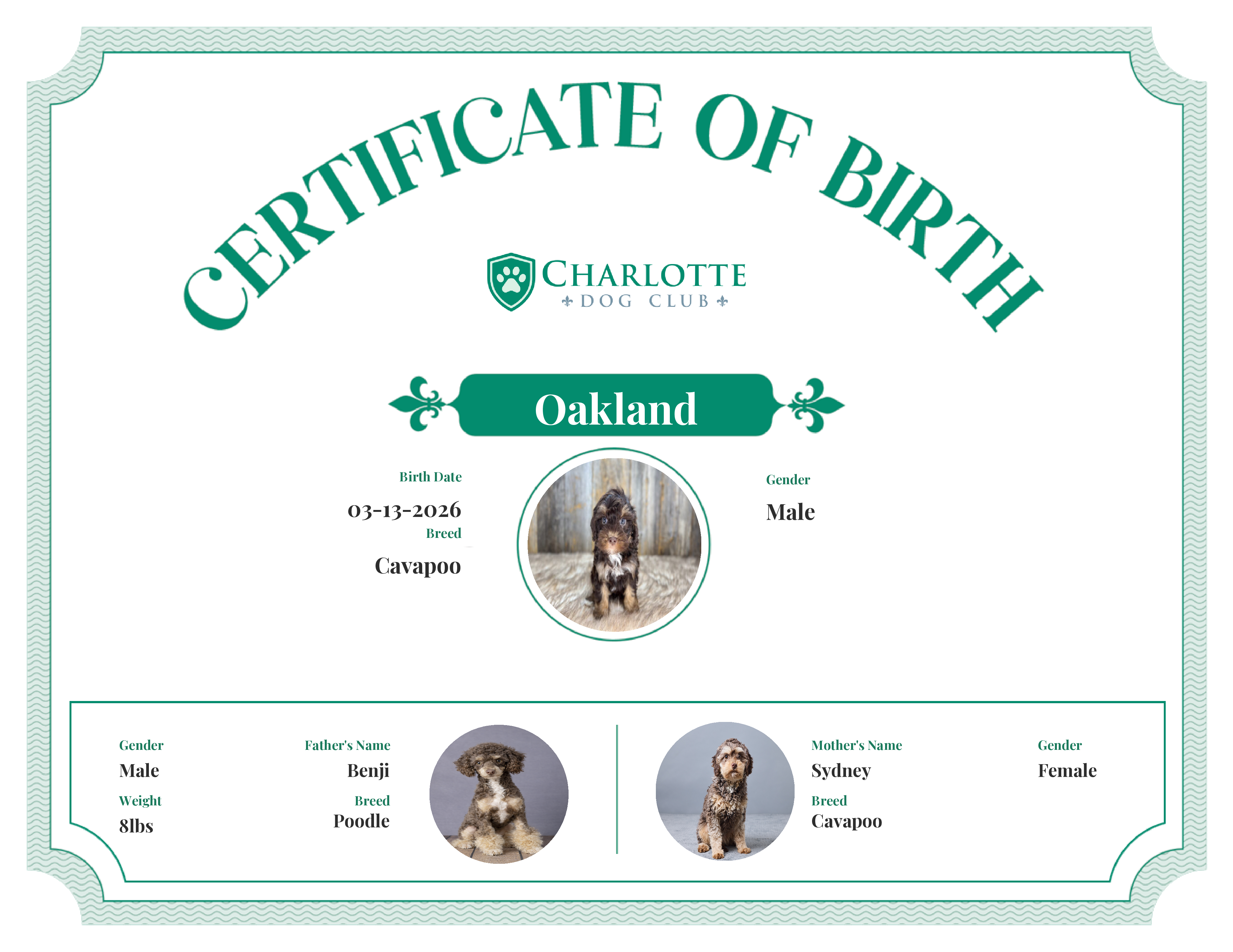 Oakland's Birth Certificate