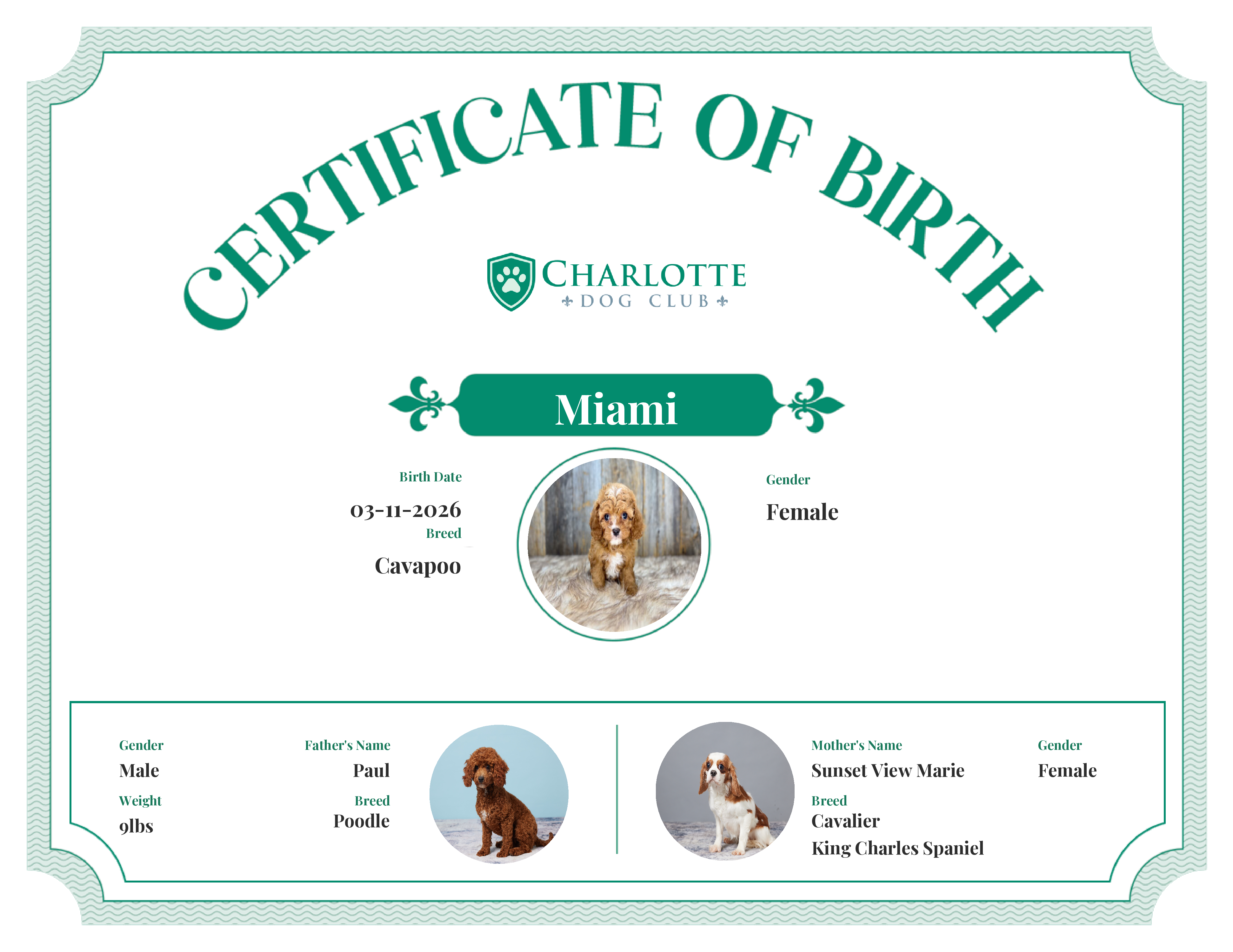 Miami's Birth Certificate