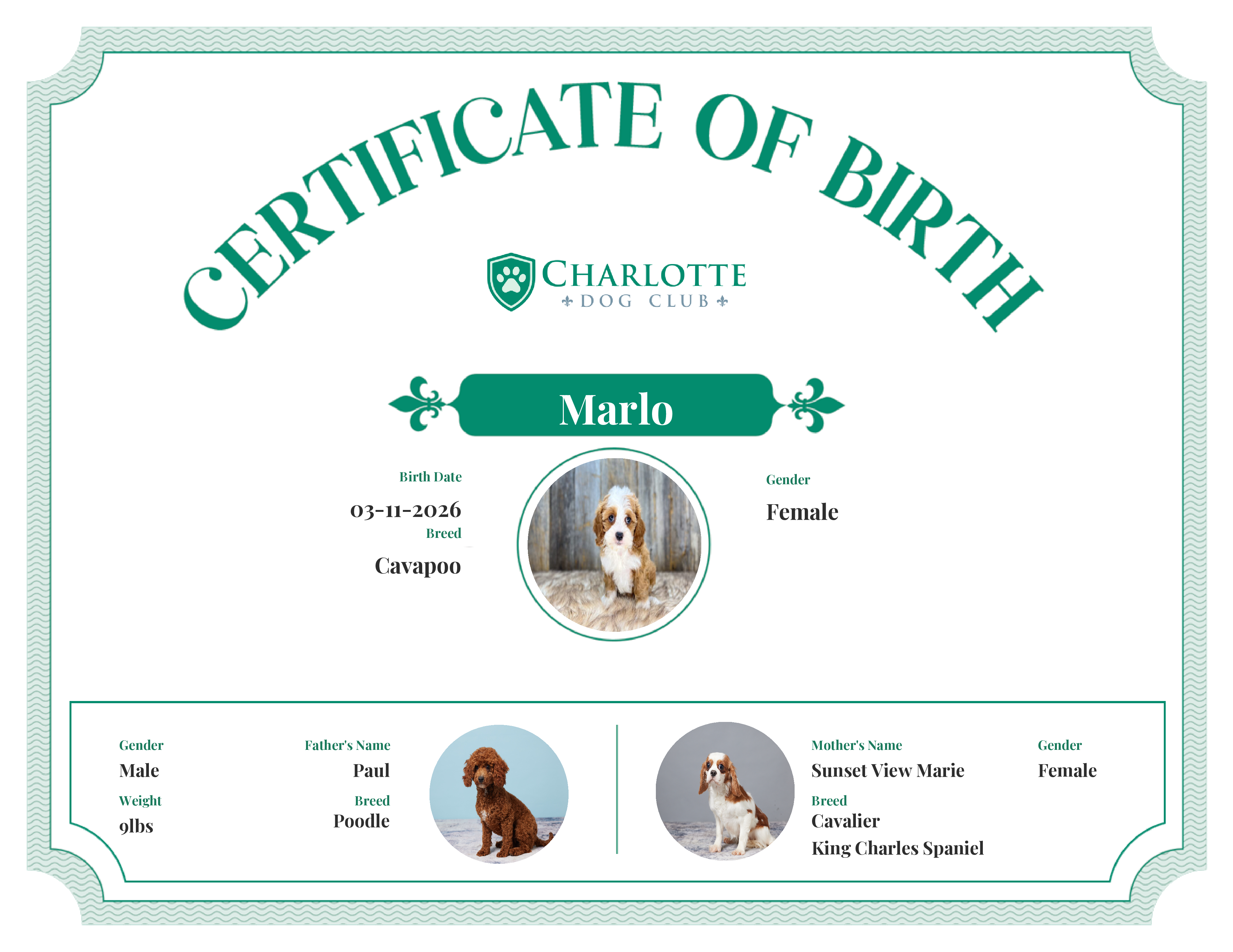 Marlo's Birth Certificate