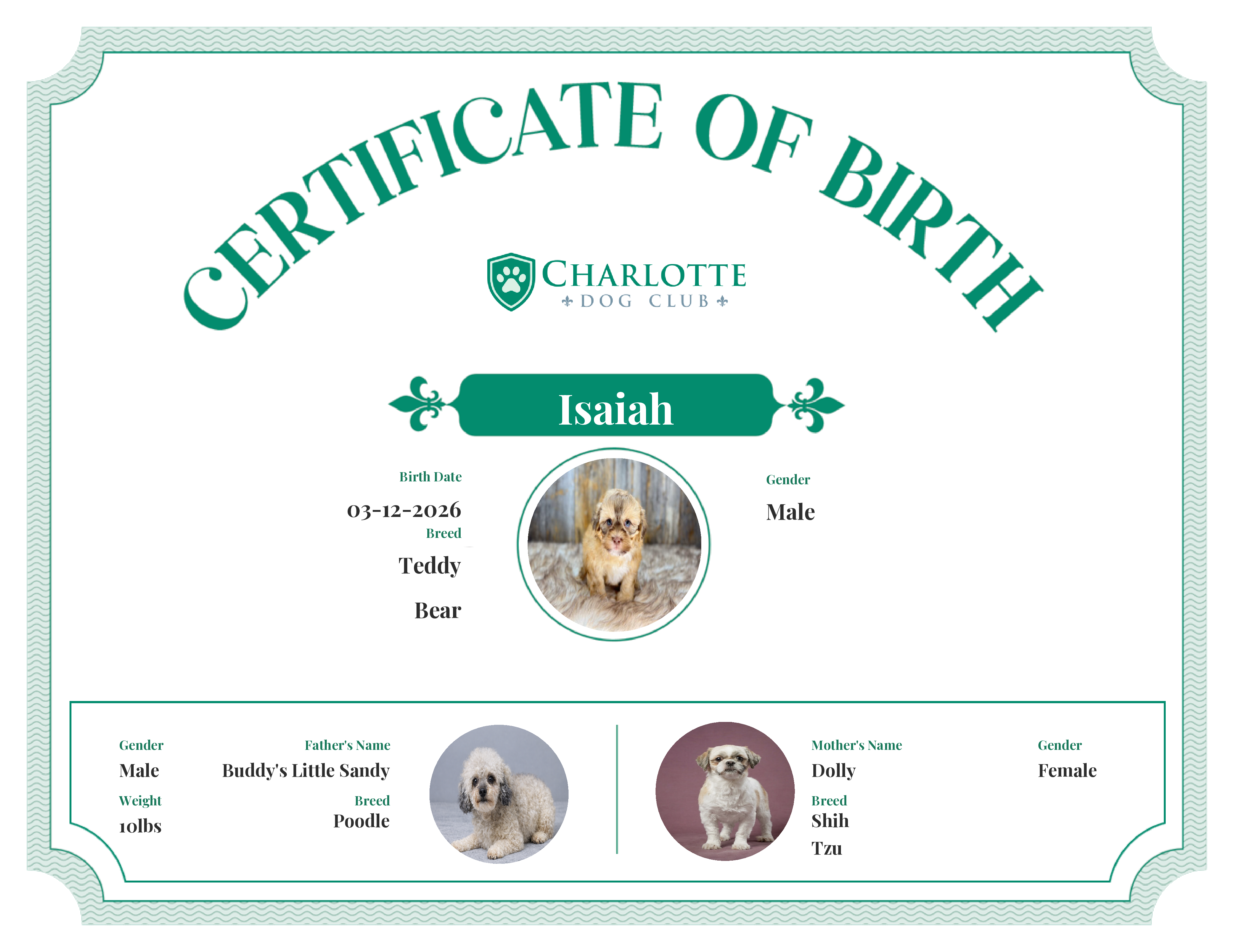 Isaiah's Birth Certificate