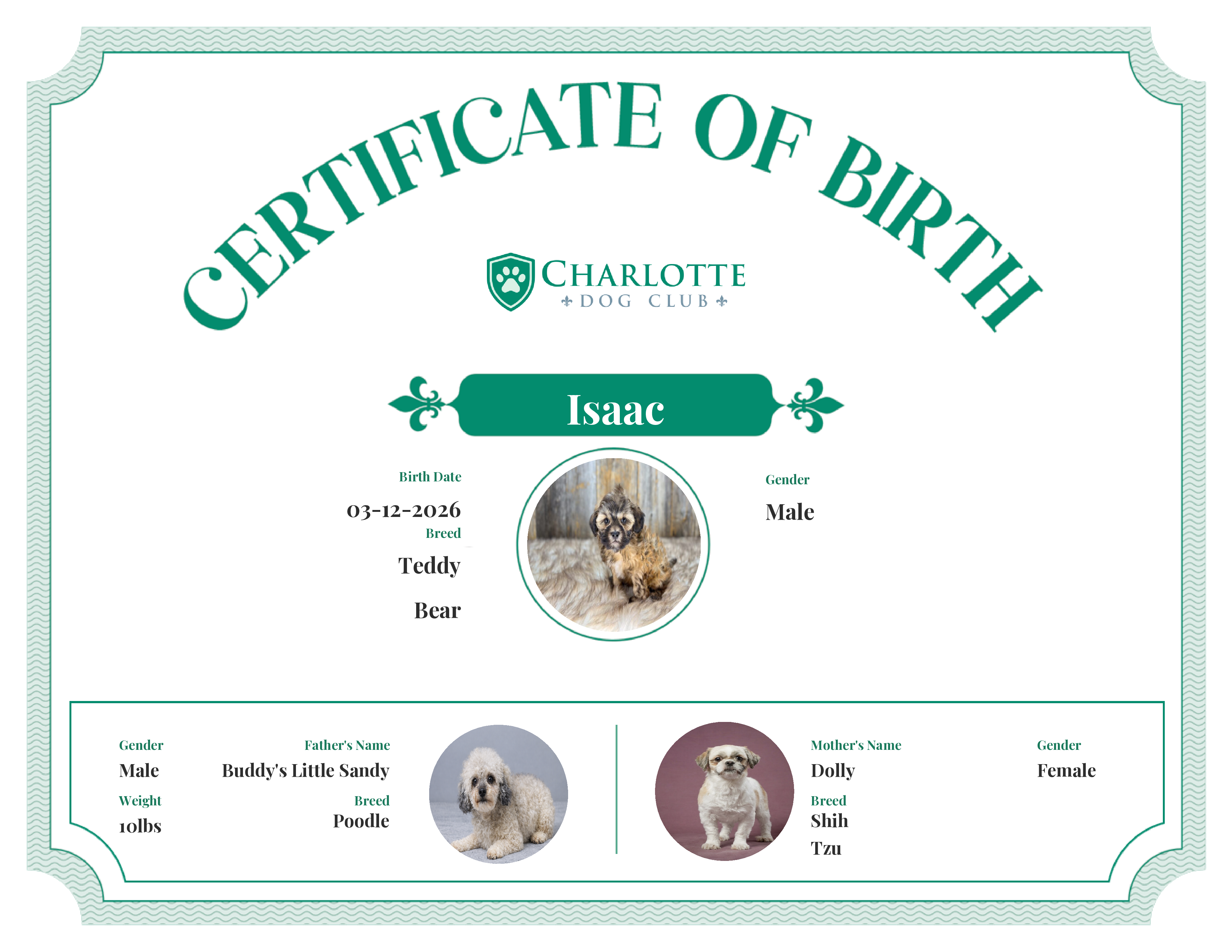Isaac's Birth Certificate