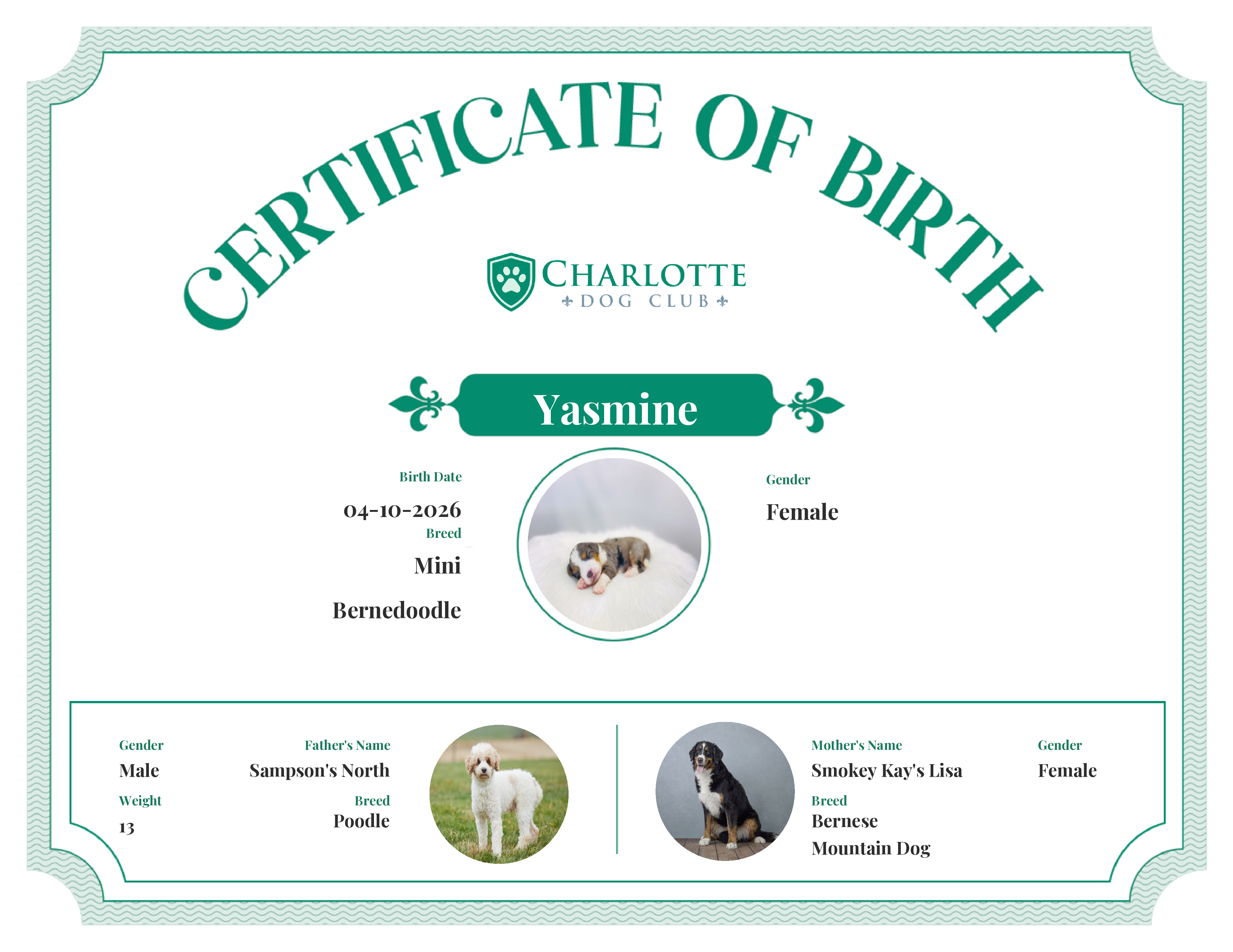 Yasmine's Birth Certificate
