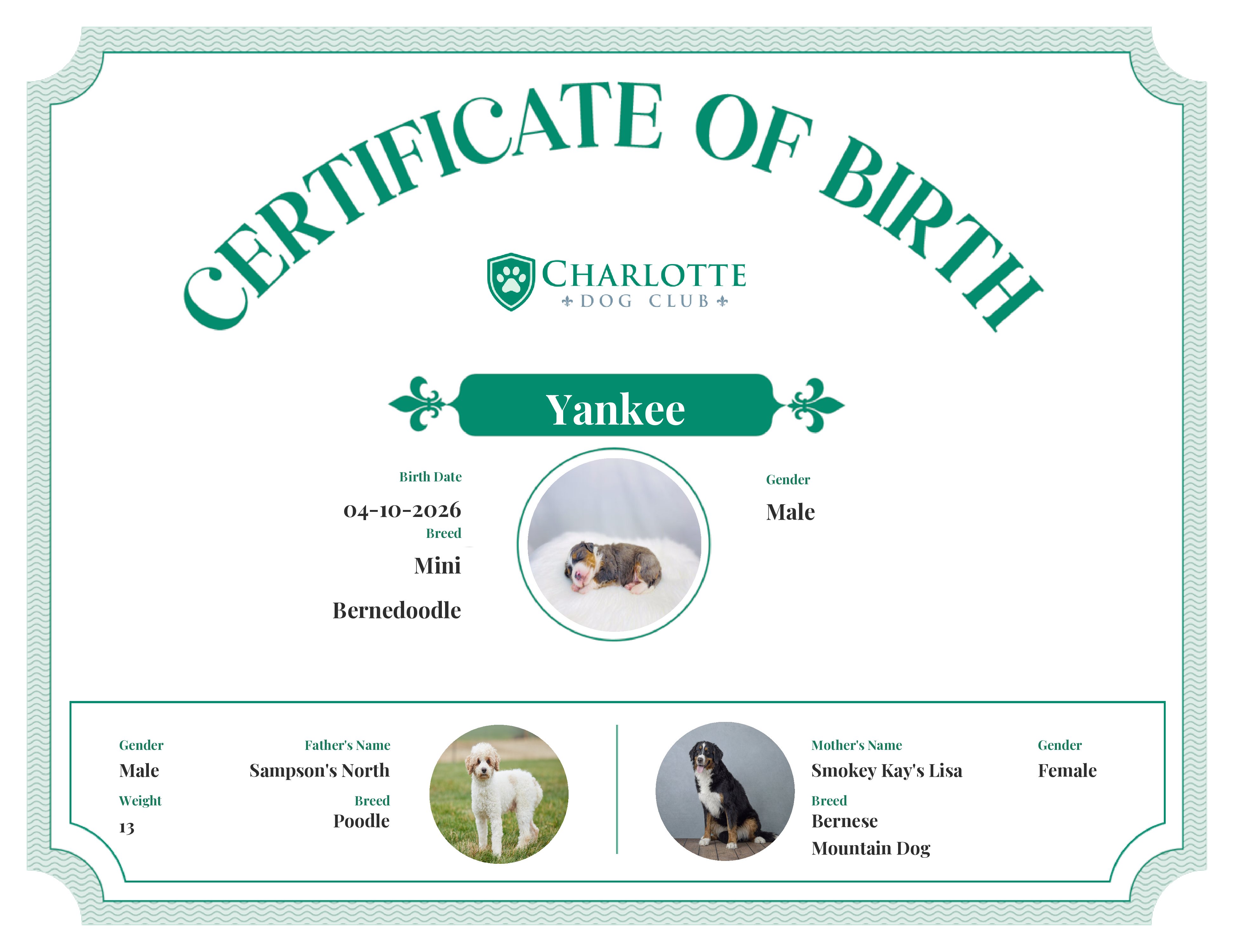 Yankee's Birth Certificate