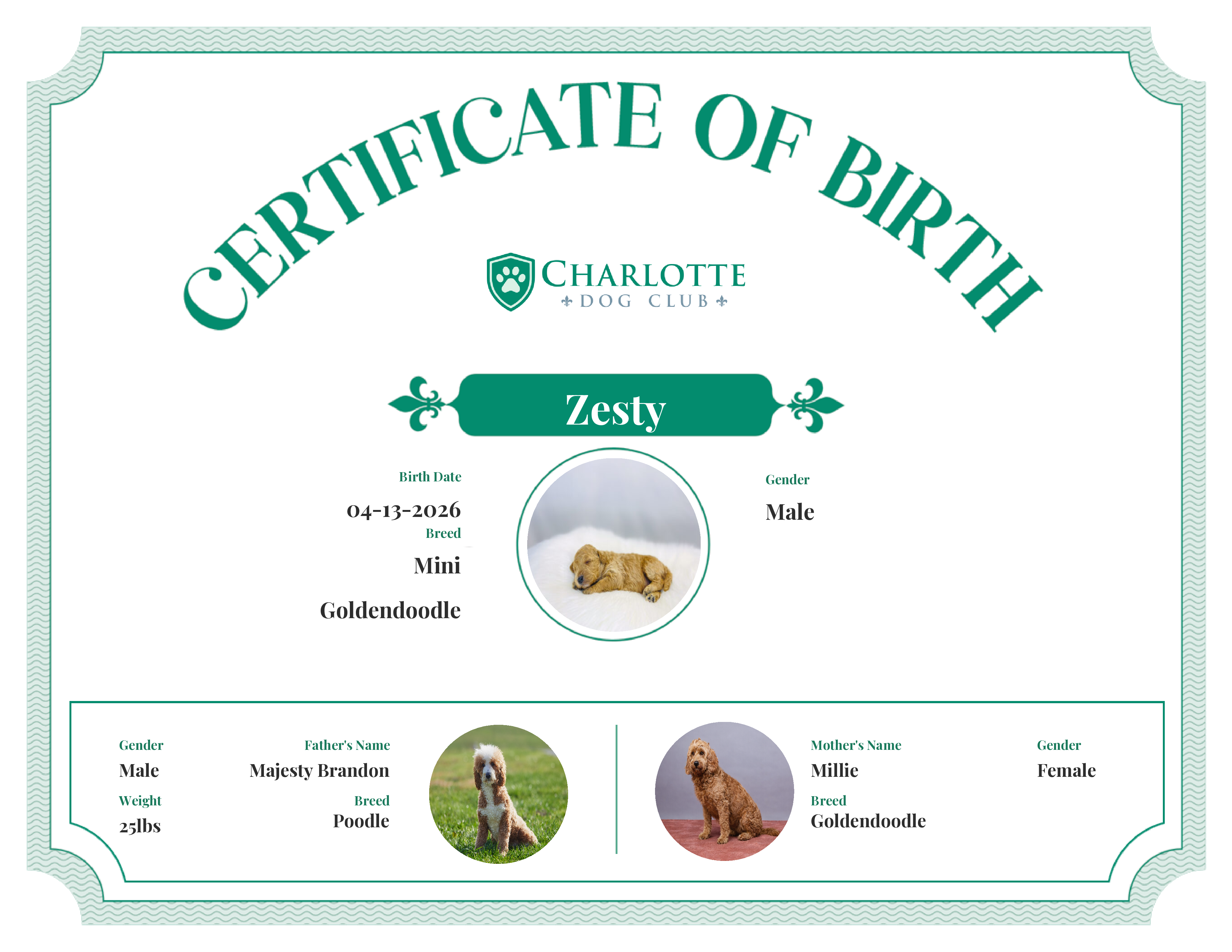 Zesty's Birth Certificate