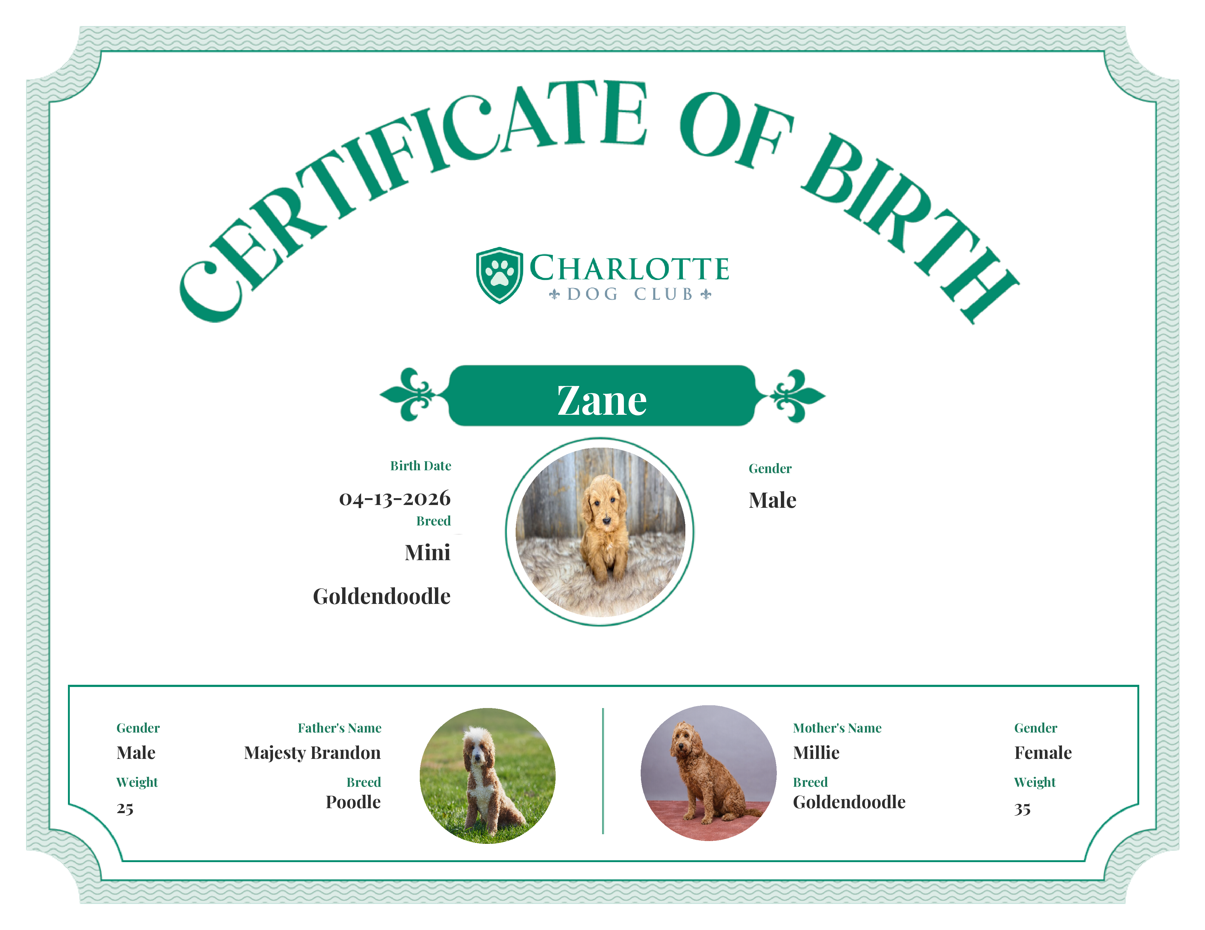 Zane's Birth Certificate