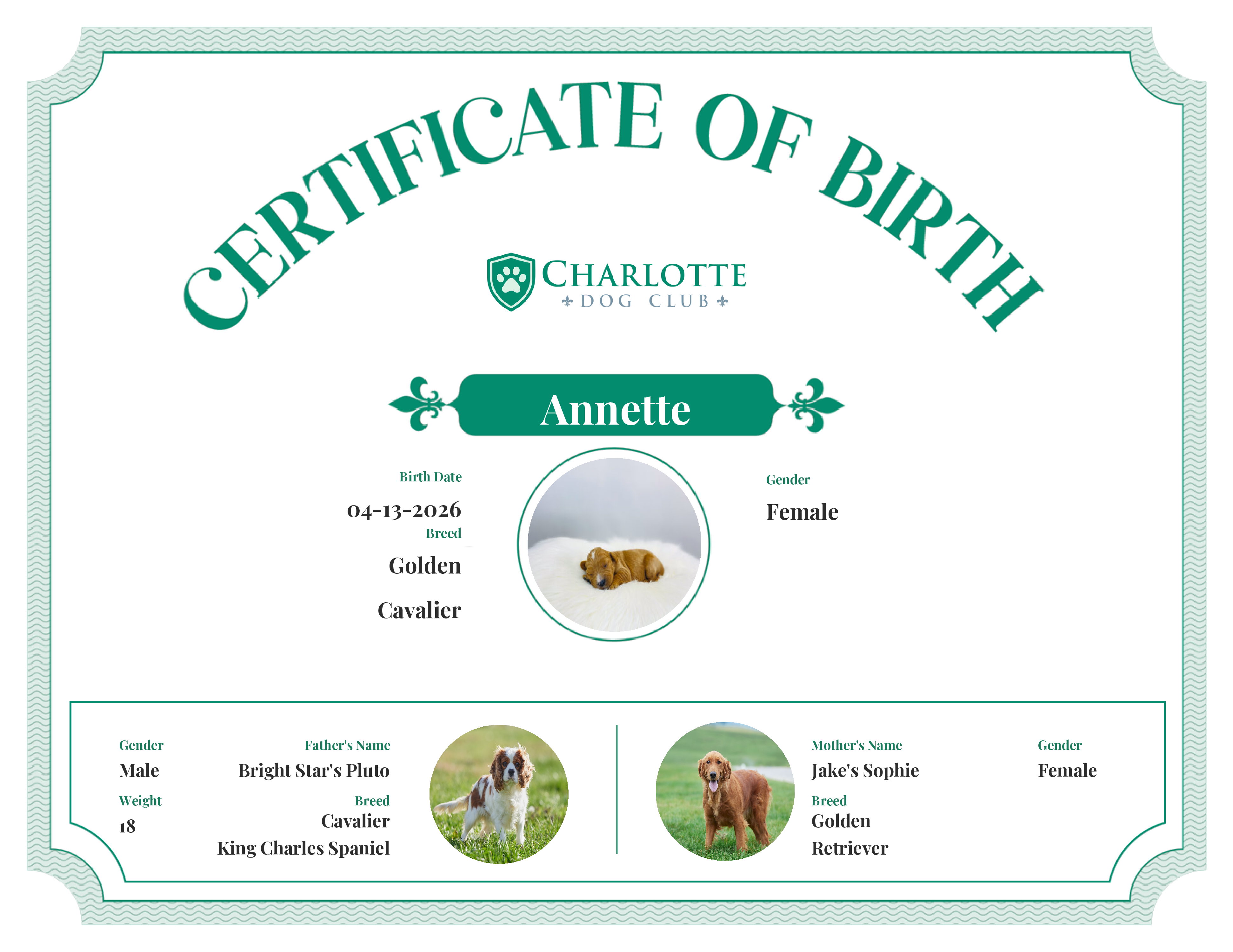 Annette's Birth Certificate