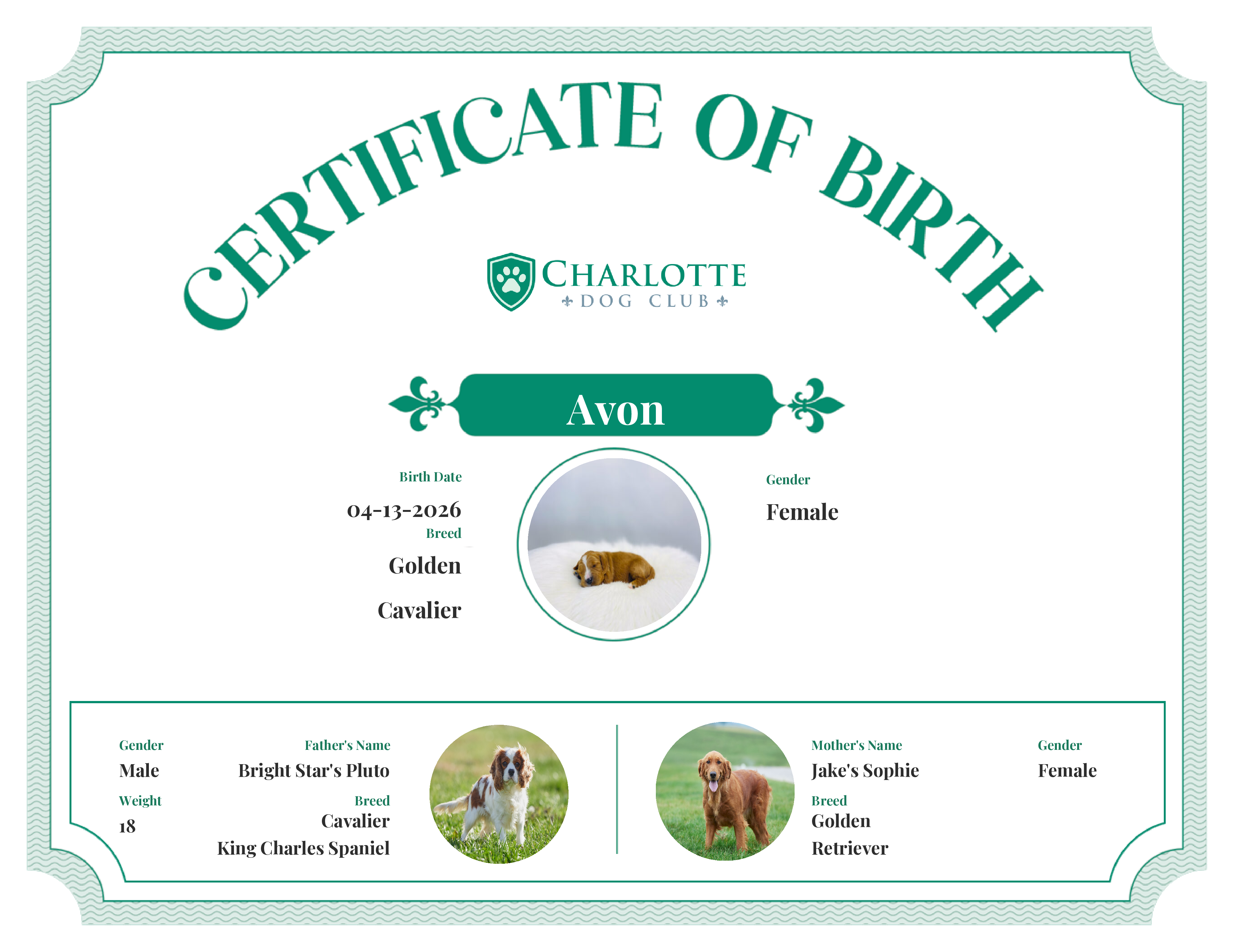 Avon's Birth Certificate